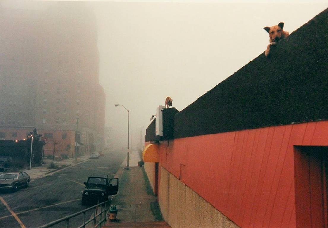 Jeff Mermelstein Color Photograph - Atlantic City