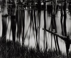 Árboles abstraídos reflejados en el agua - Fotografía de paisaje en blanco y negro