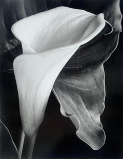 Black and White Photography