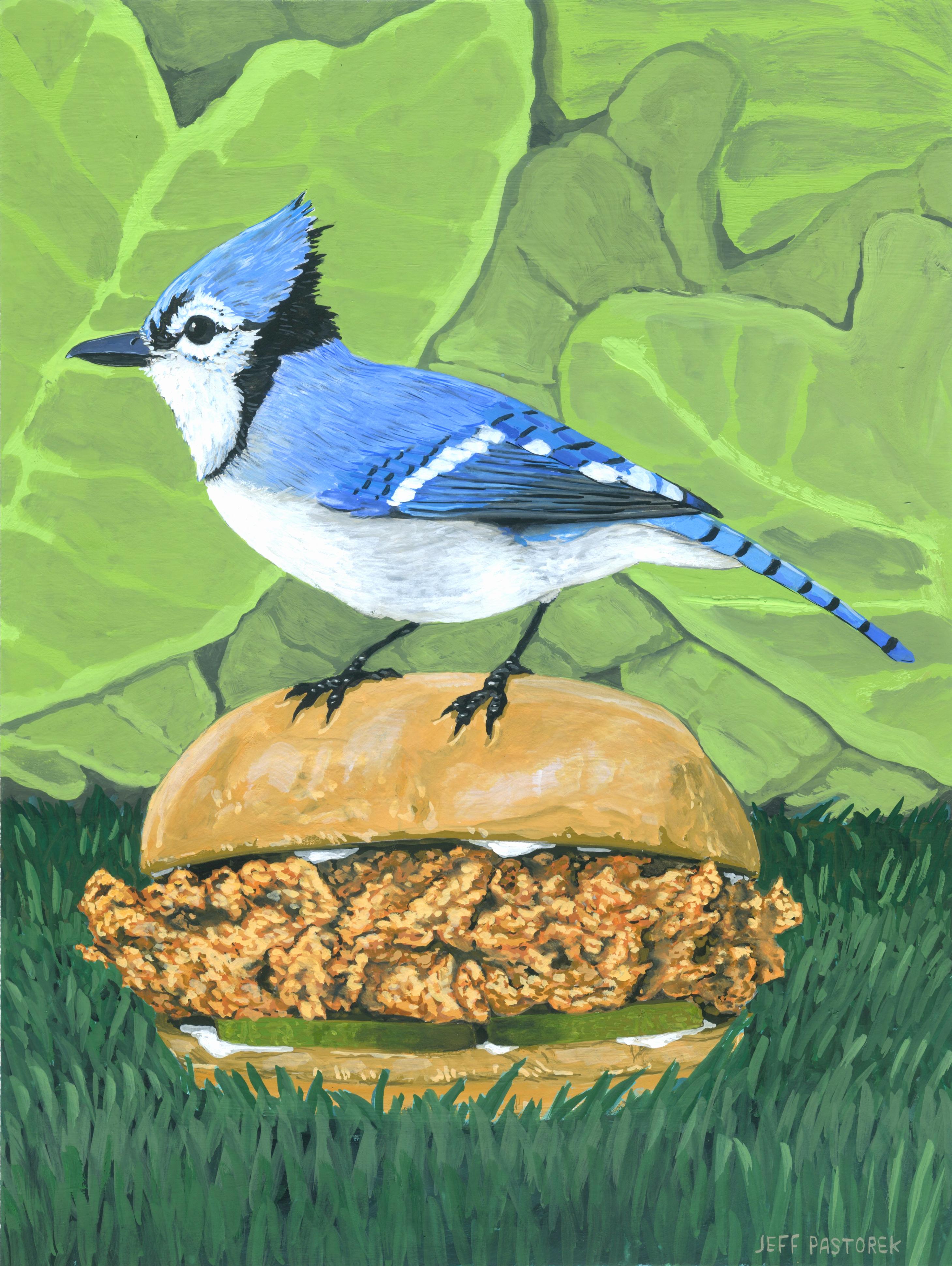 Jeff Pastorek Animal Painting - Blue Jay on a Popeyes Chicken Sandwich
