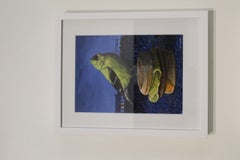 Goldfinch on a Sausage, Egg, and Cheese McGriddle