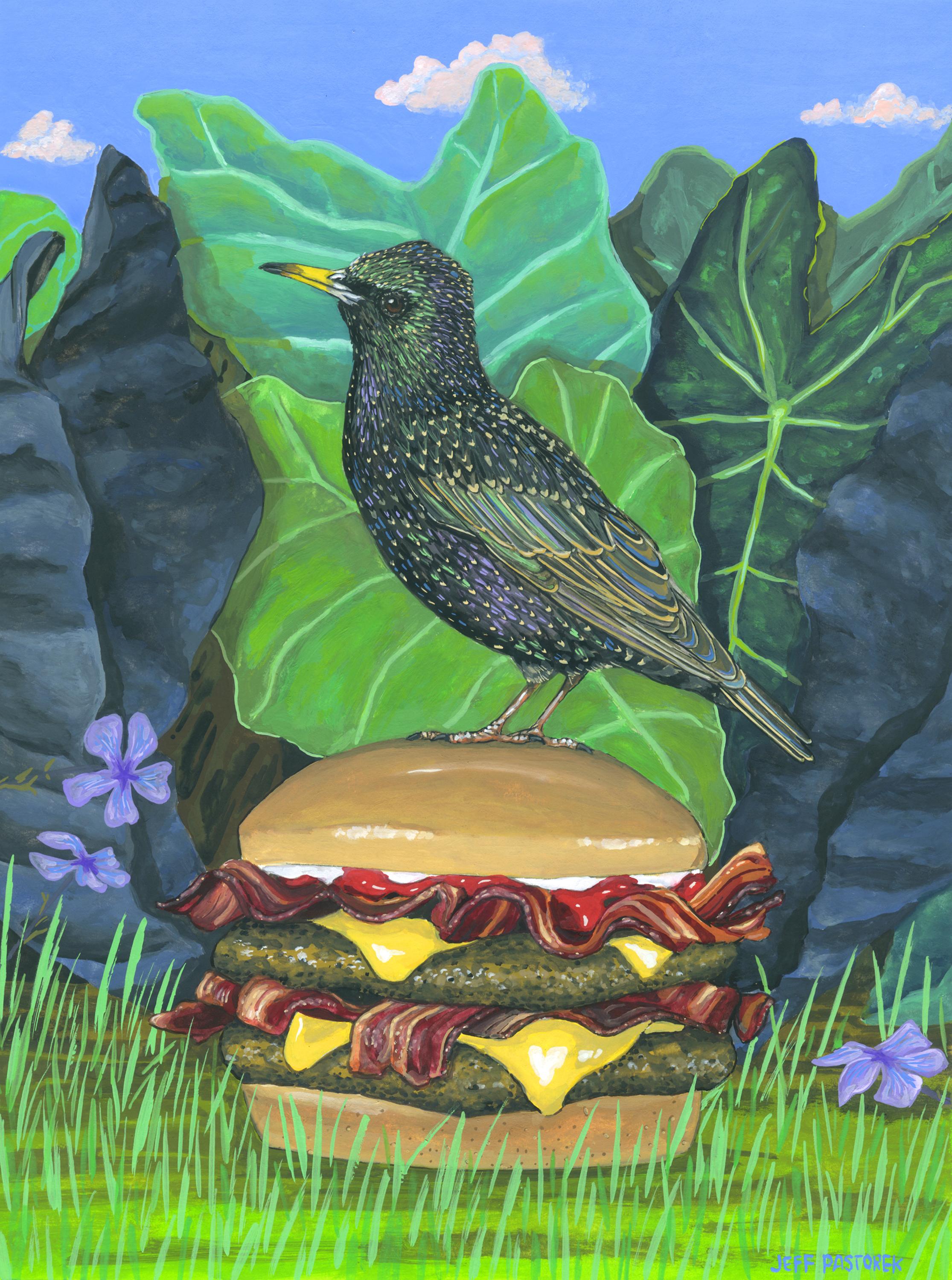 Jeff Pastorek Animal Painting - Starling on a Baconator