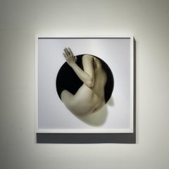 "Aperture 16", photography by Jeff Robb (31x31'), 2019