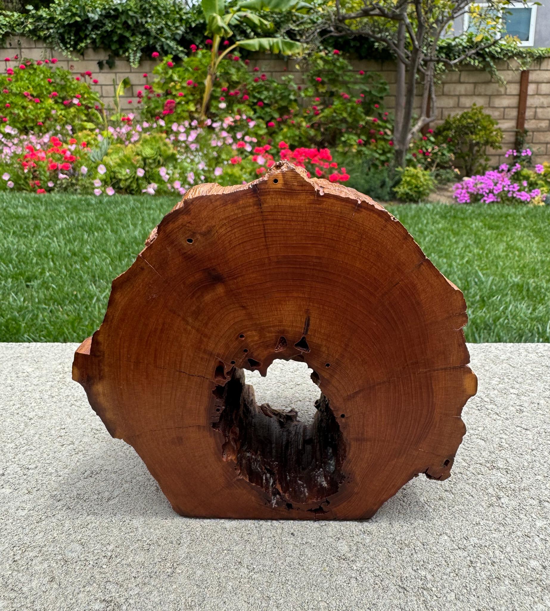 American Jeff Trag Handcrafted Sculptural Wood Jewelry / Stash Box, 1988 For Sale