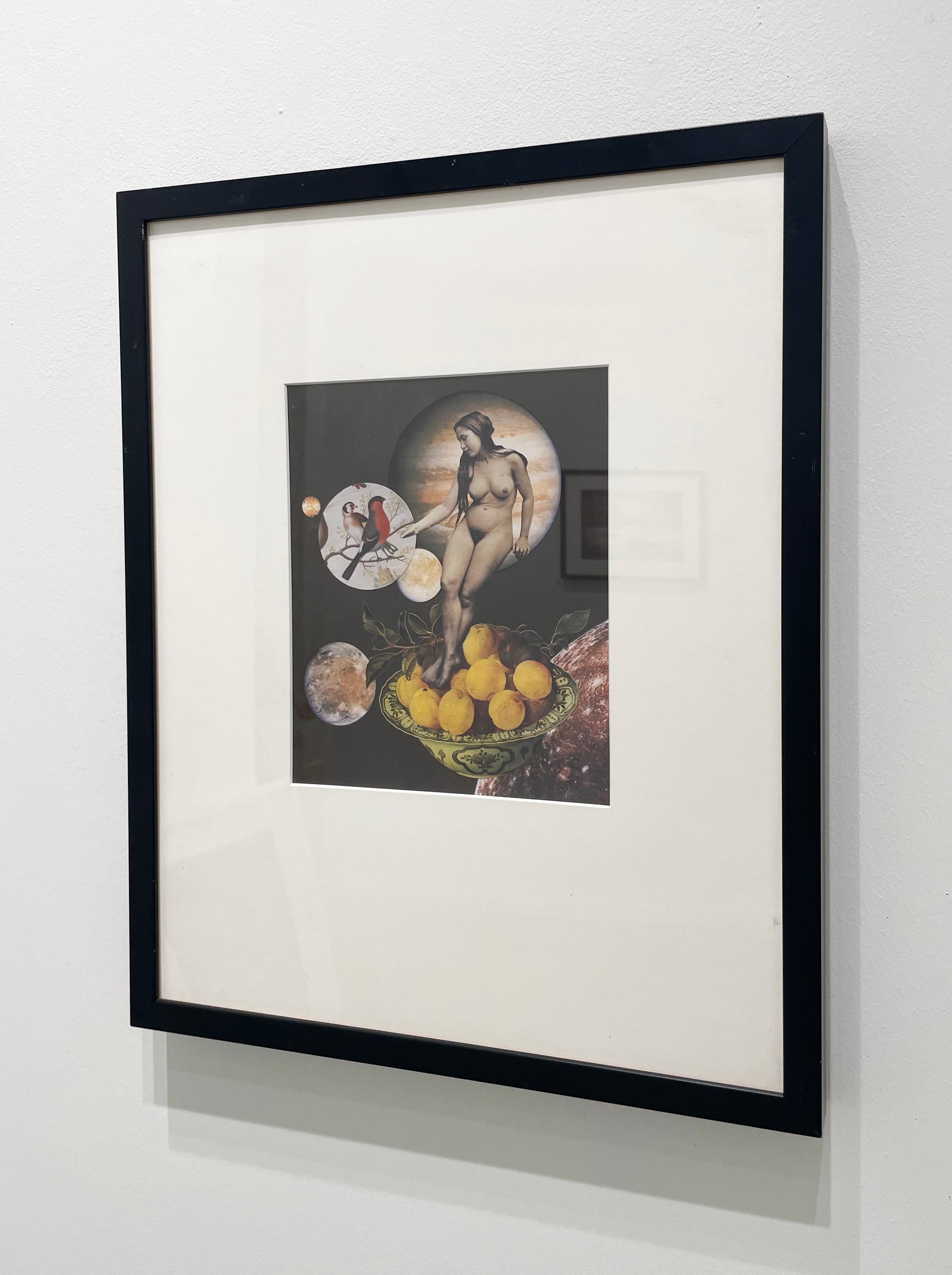 This  surrealist photo-based collage is one of a kind. The collage features a nude woman standing on a bowl of lemons, reaching out to a pair of birds to her left. She floats in space, accompanied by varying planets and moons.

Unique Photo-based