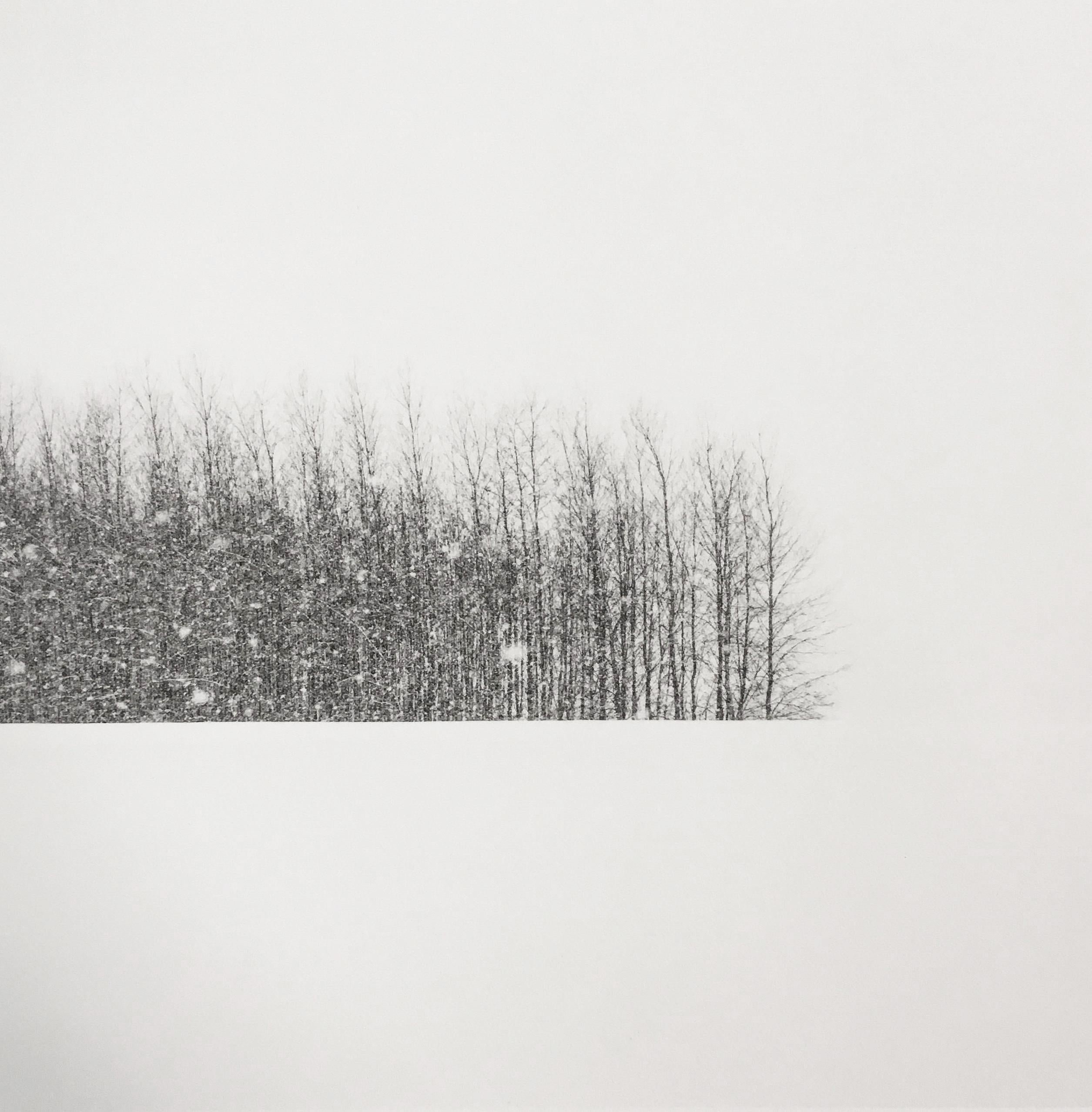 Jeffrey Conley Black and White Photograph - Trees in Winter Field, Oregon , 2014, printed 2023