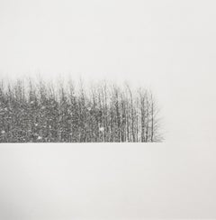 Trees in Winter Field, Oregon , 2014, printed 2023