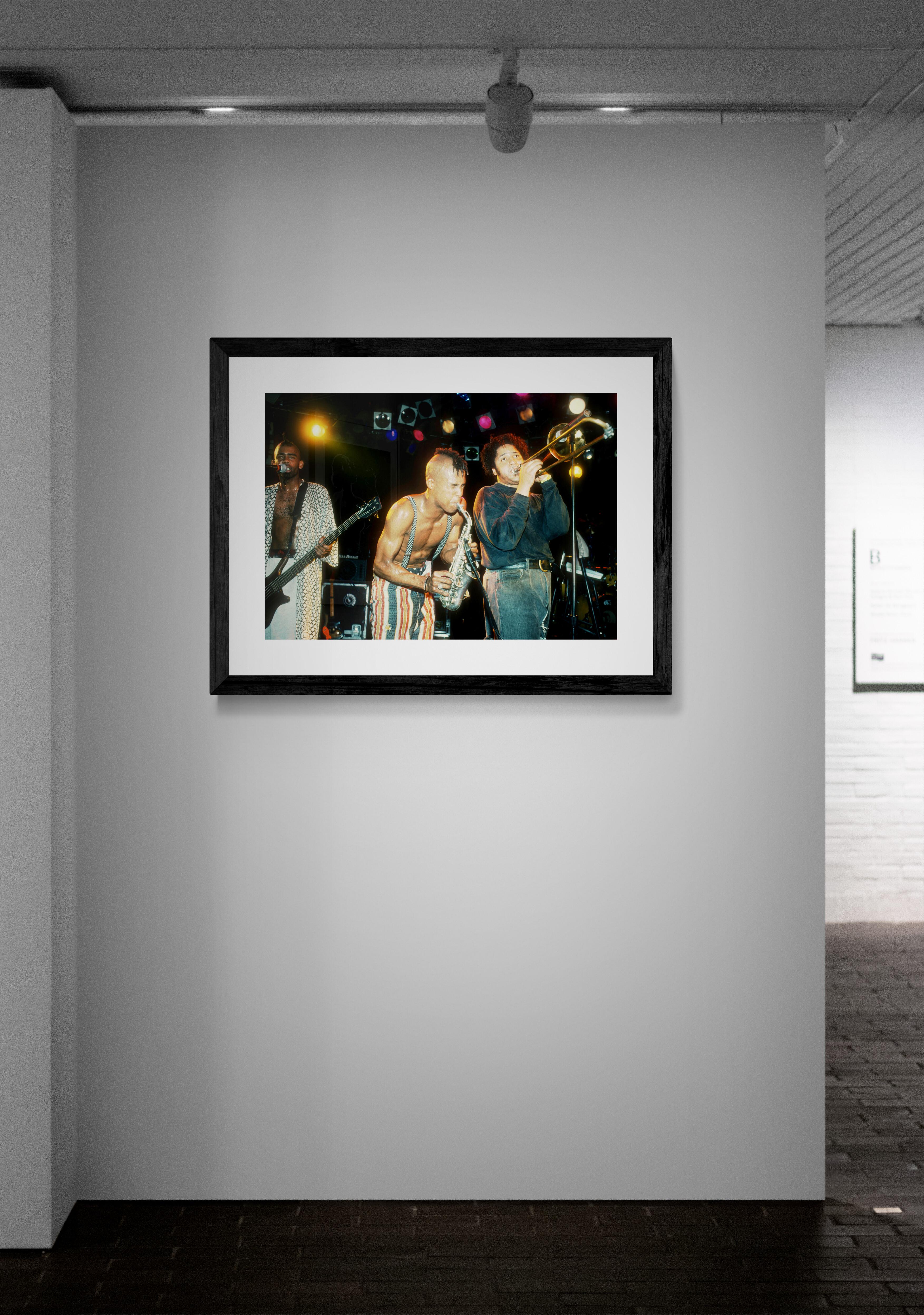 Fischgrät, Bergfotografiedruck von Jeffrey Mayer im Angebot 3