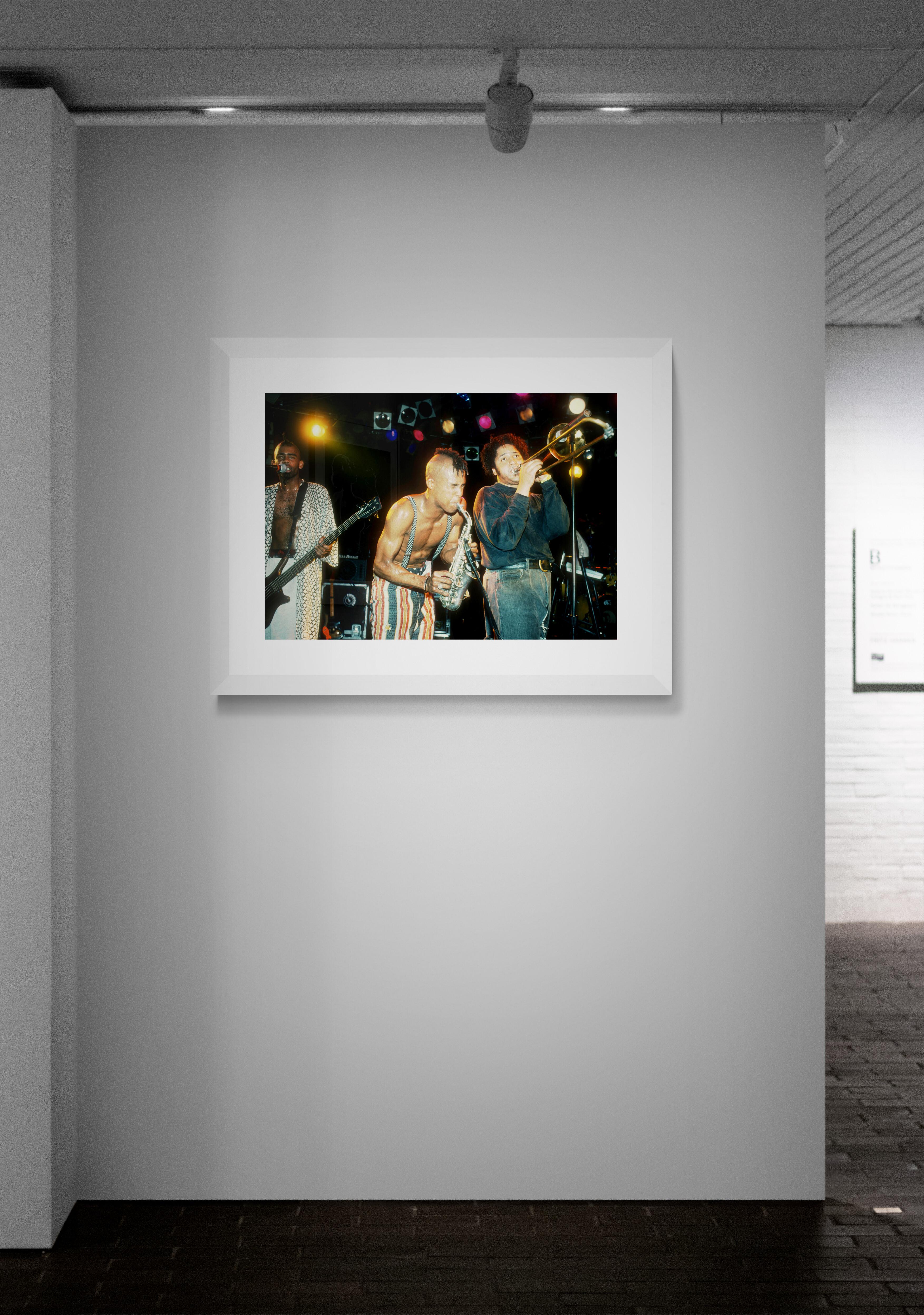 Fischgrät, Bergfotografiedruck von Jeffrey Mayer im Angebot 4
