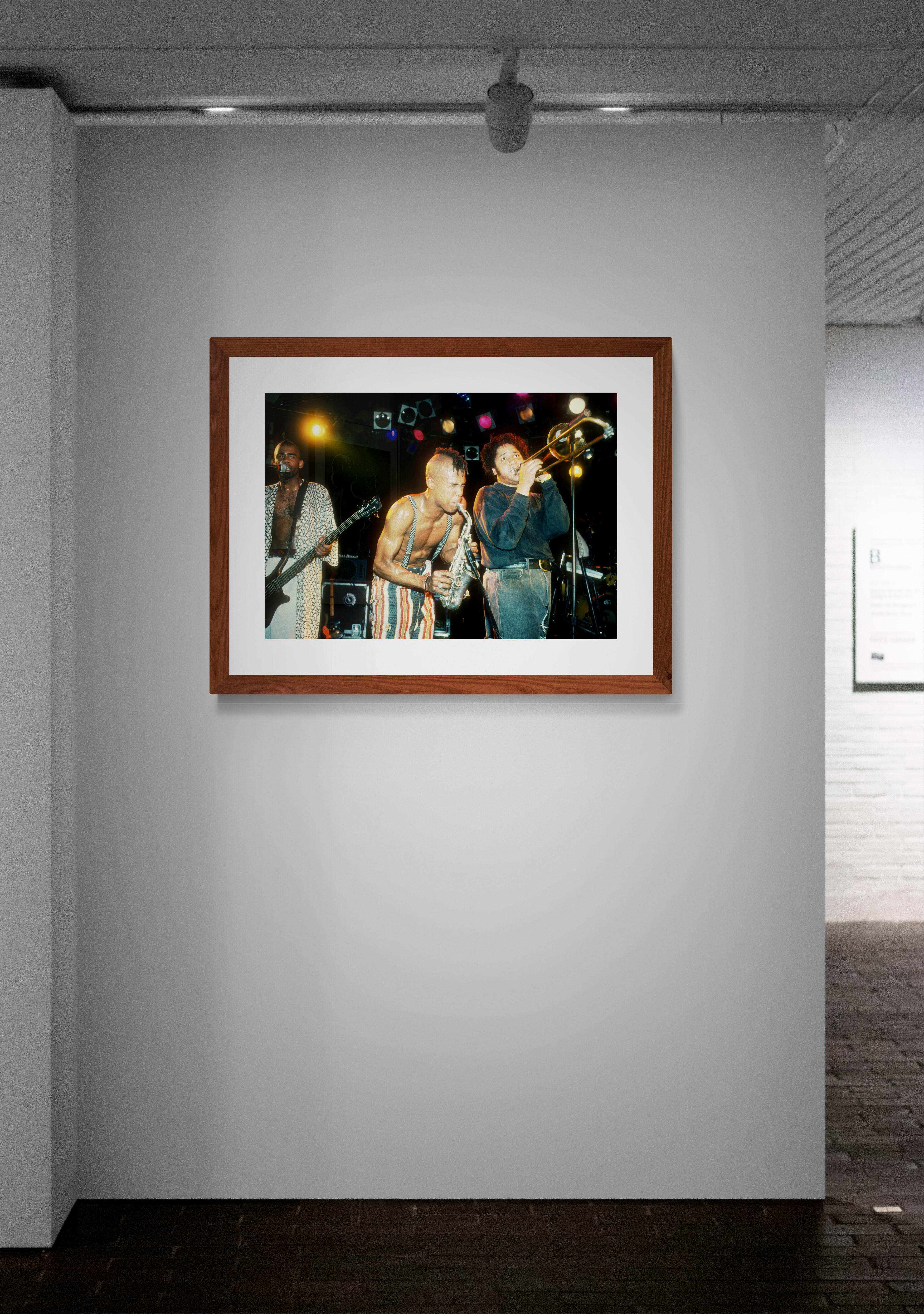 Fischgrät, Bergfotografiedruck von Jeffrey Mayer im Angebot 6