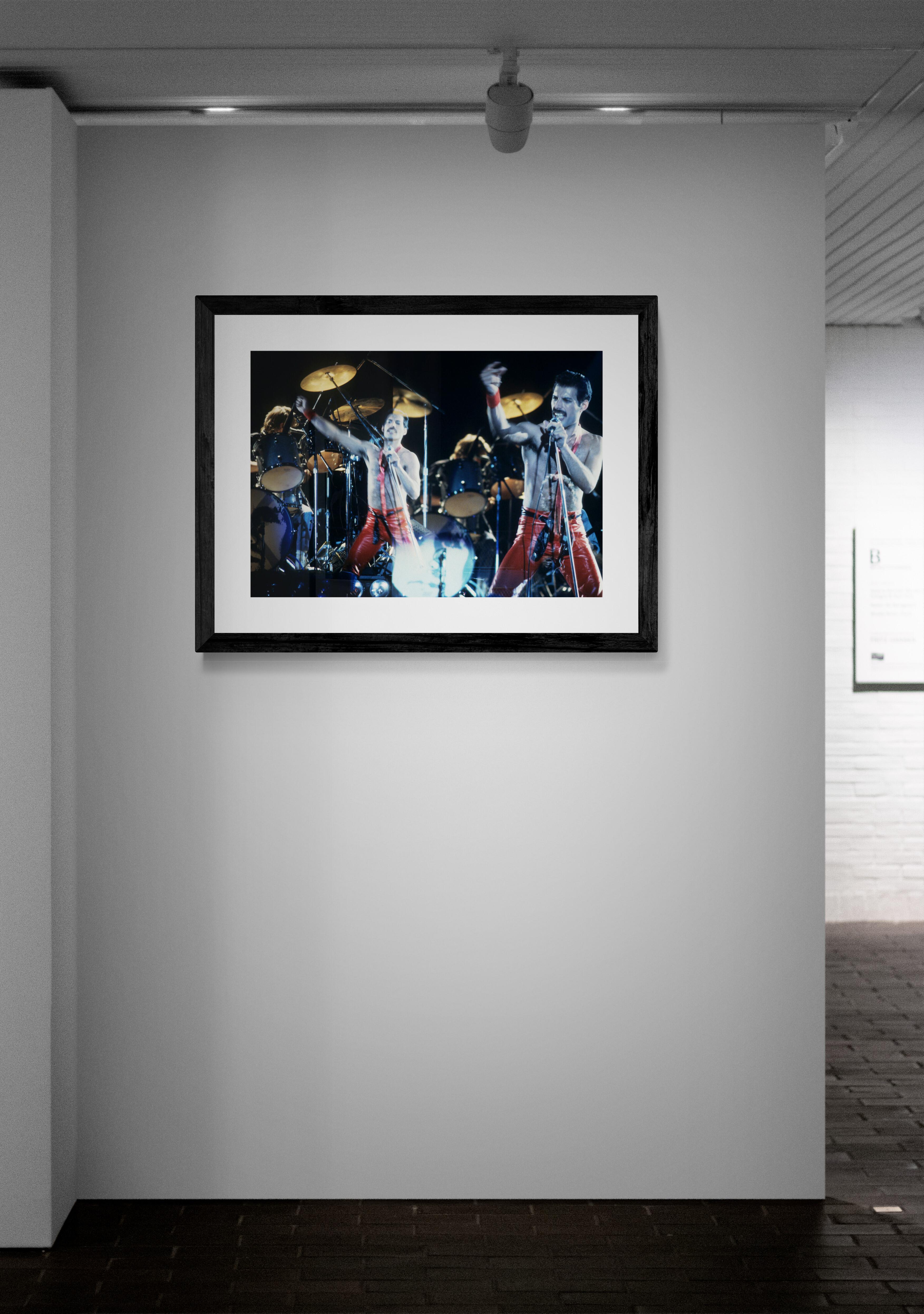 Freddie Mercury, Königin, Doppelbelichtung, Felsfotografie von Jeffrey Mayer im Angebot 3