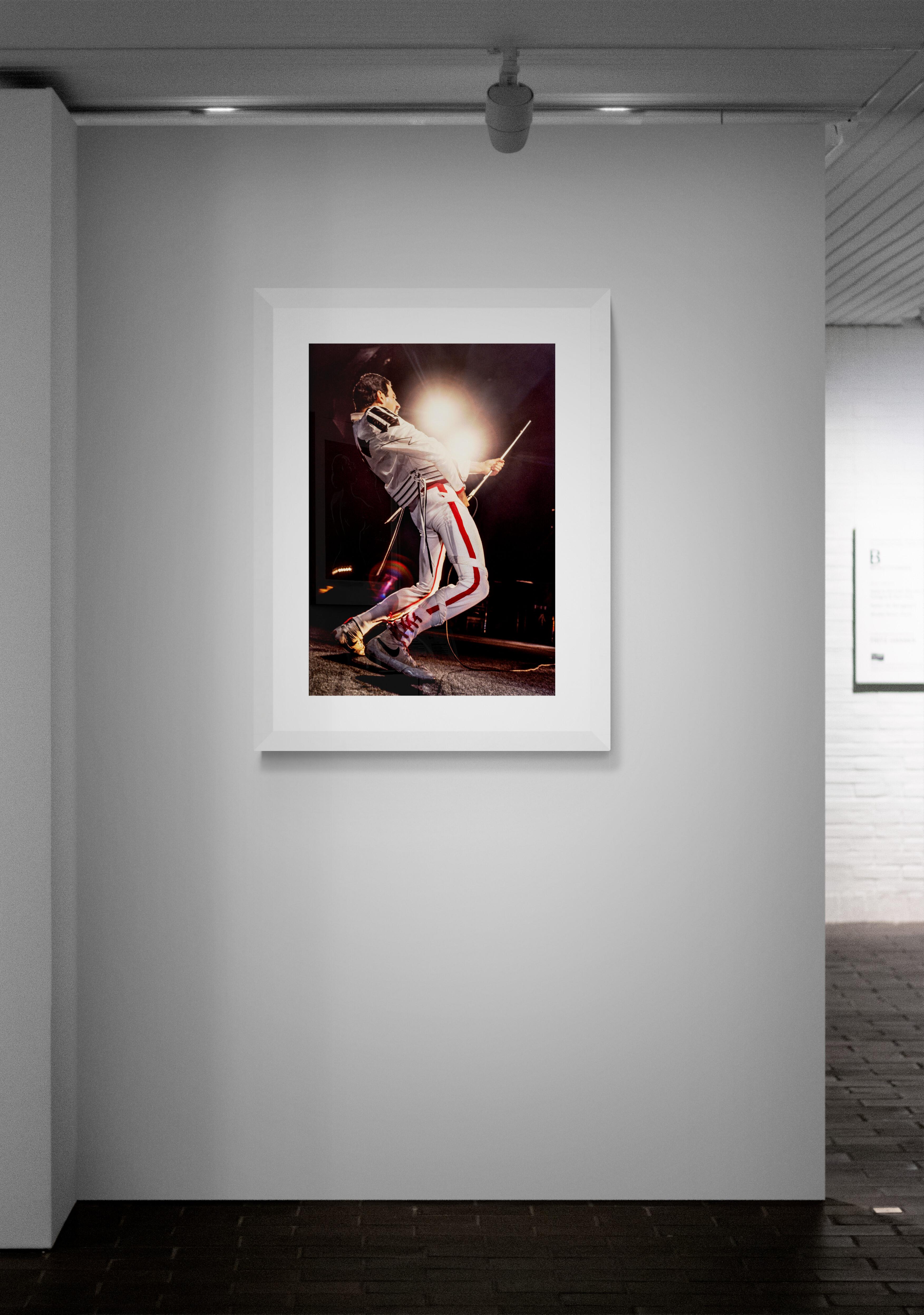 Freddie Mercury, Queen#2, Rock Photography by Jeffrey Mayer For Sale 1