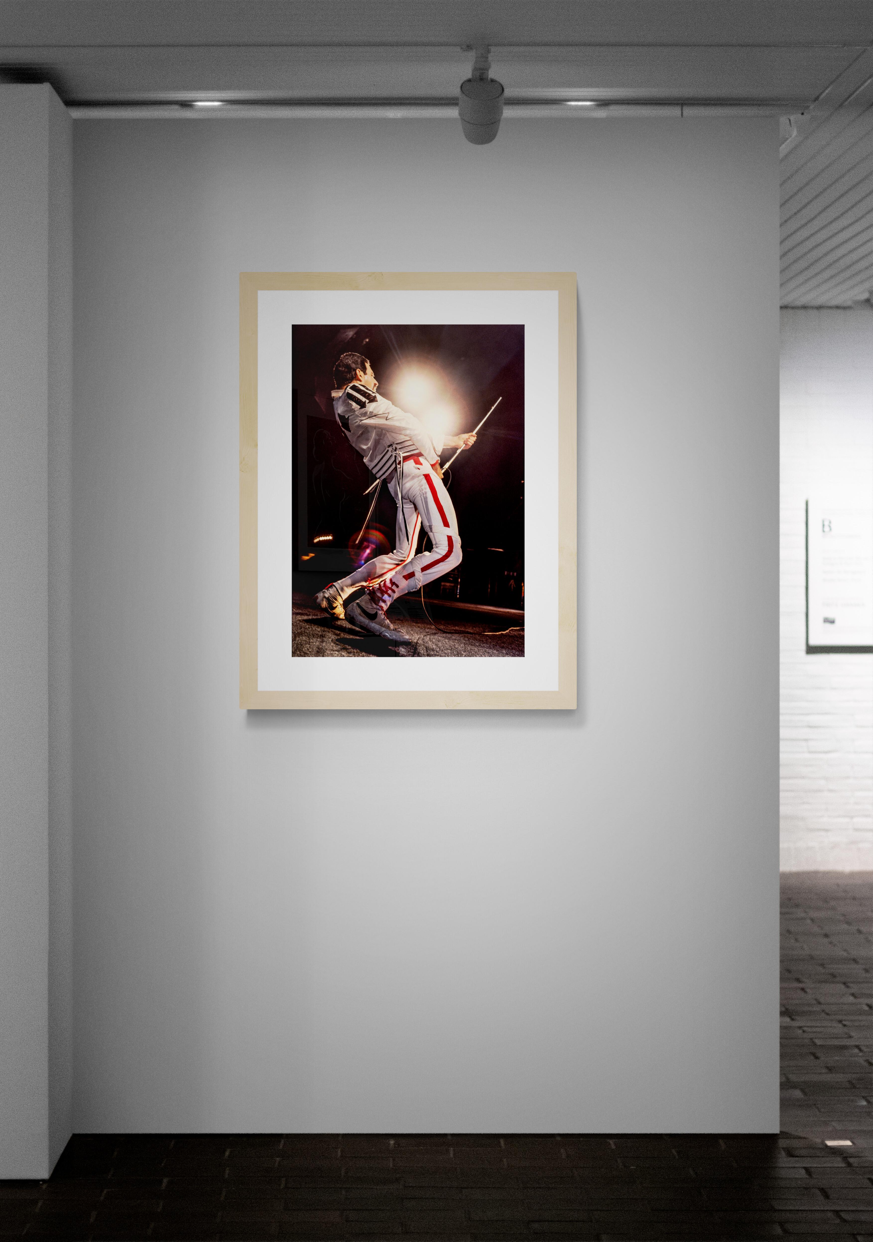 Freddie Mercury, Queen#2, Rock Photography by Jeffrey Mayer For Sale 2