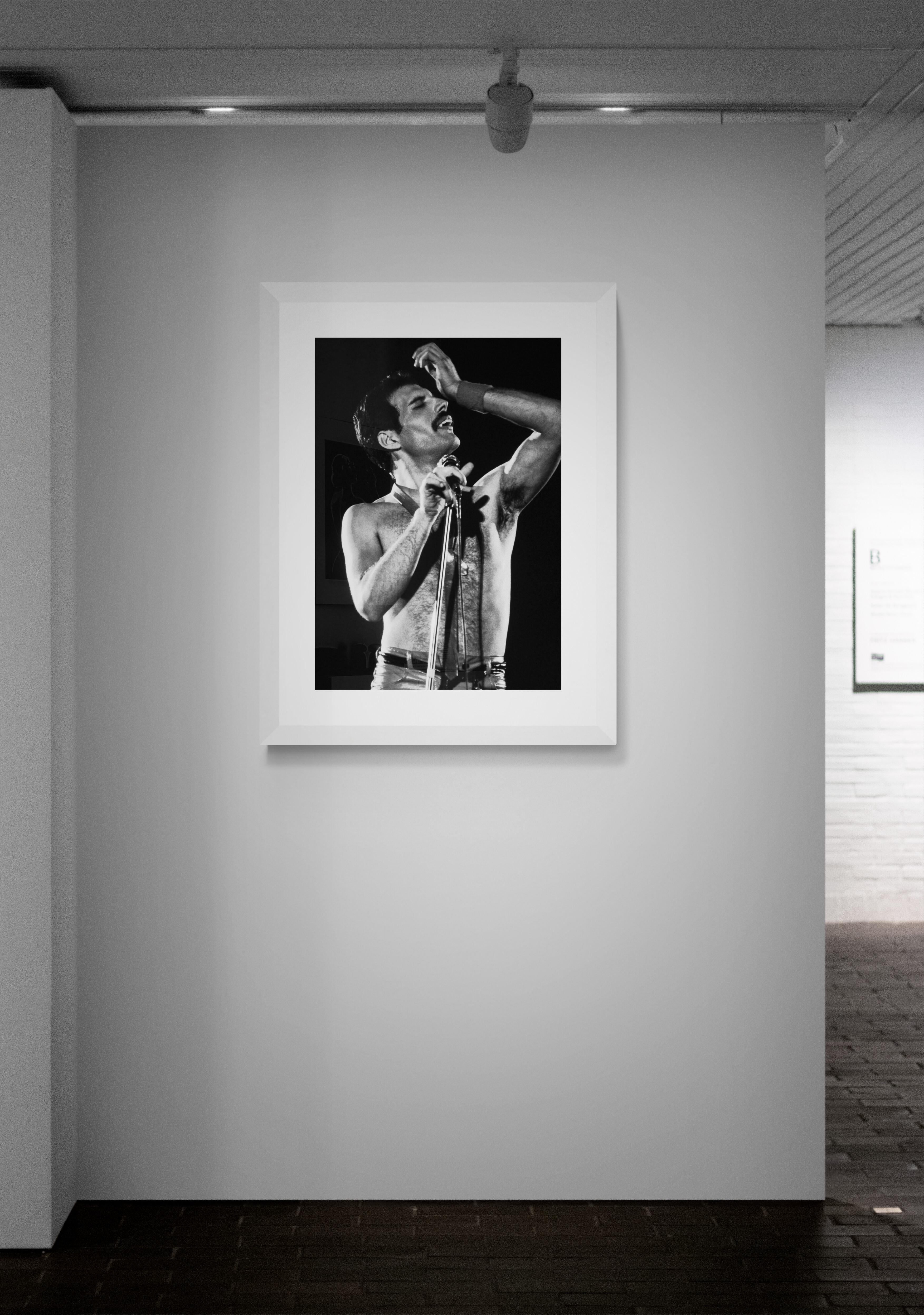 Freddie Mercury, Queen#3, Rock Photography by Jeffrey Mayer For Sale 1