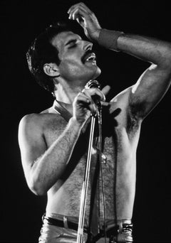 Freddie Mercury, Queen n°3, photographie de rock de Jeffrey Mayer