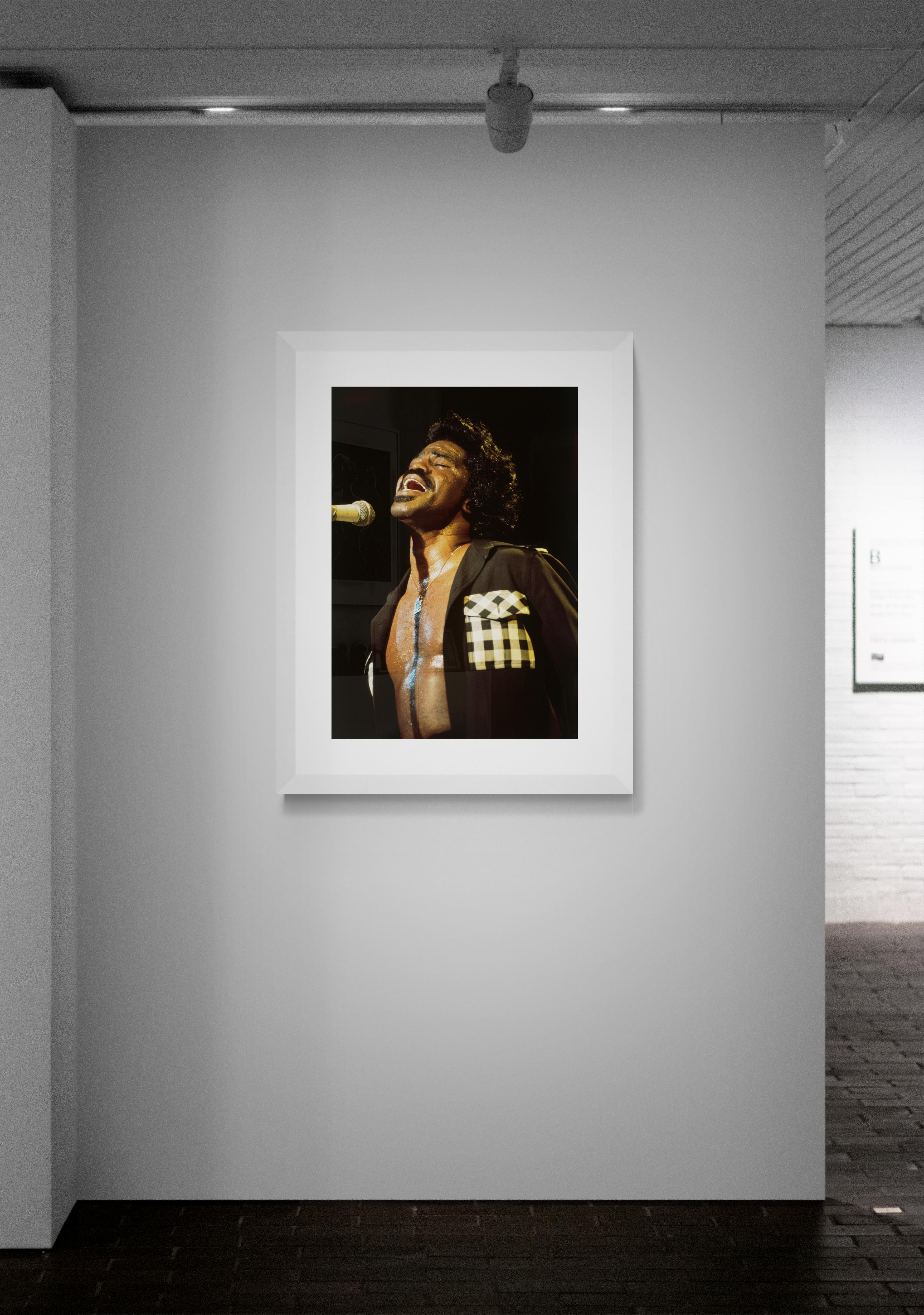 James Brown, Classic Rock Photography Print by Jeffrey Mayer For Sale 2