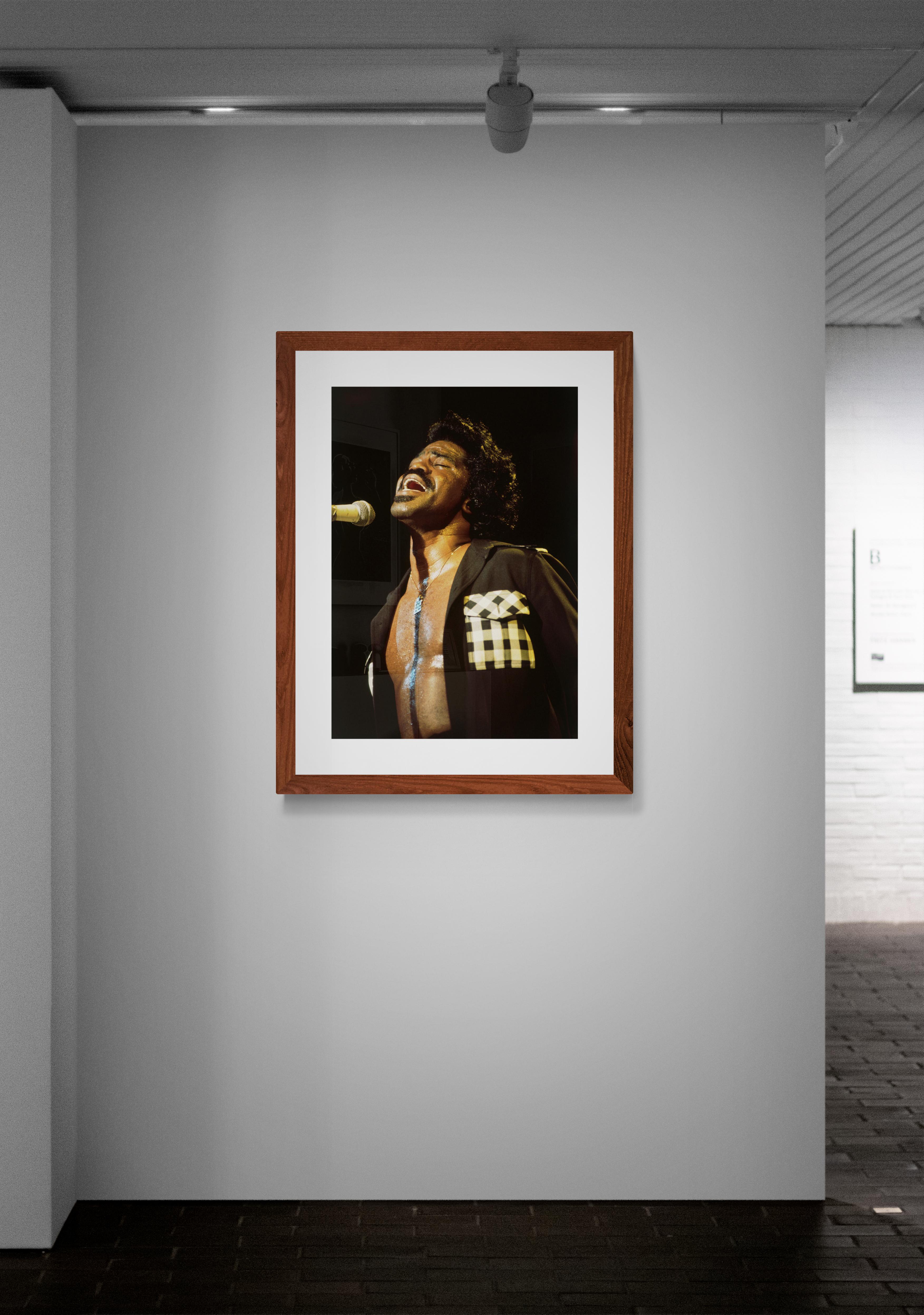 James Brown, Classic Rock Photography Print by Jeffrey Mayer For Sale 4