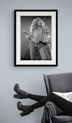 Led Zeppelin #D2 Robert The Plant