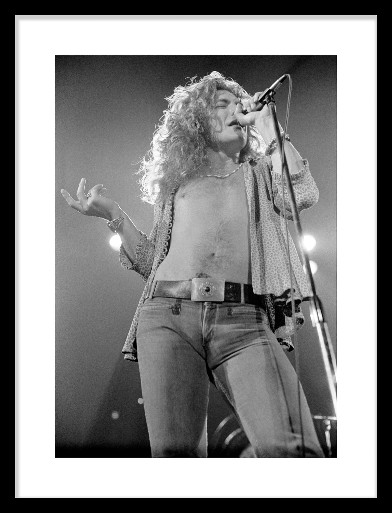 Led Zeppelin #D2 Robert The Plant