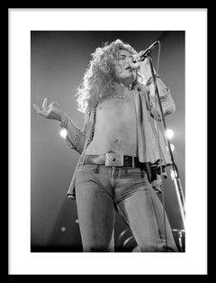 Led Zeppelin #D2 Robert The Plant