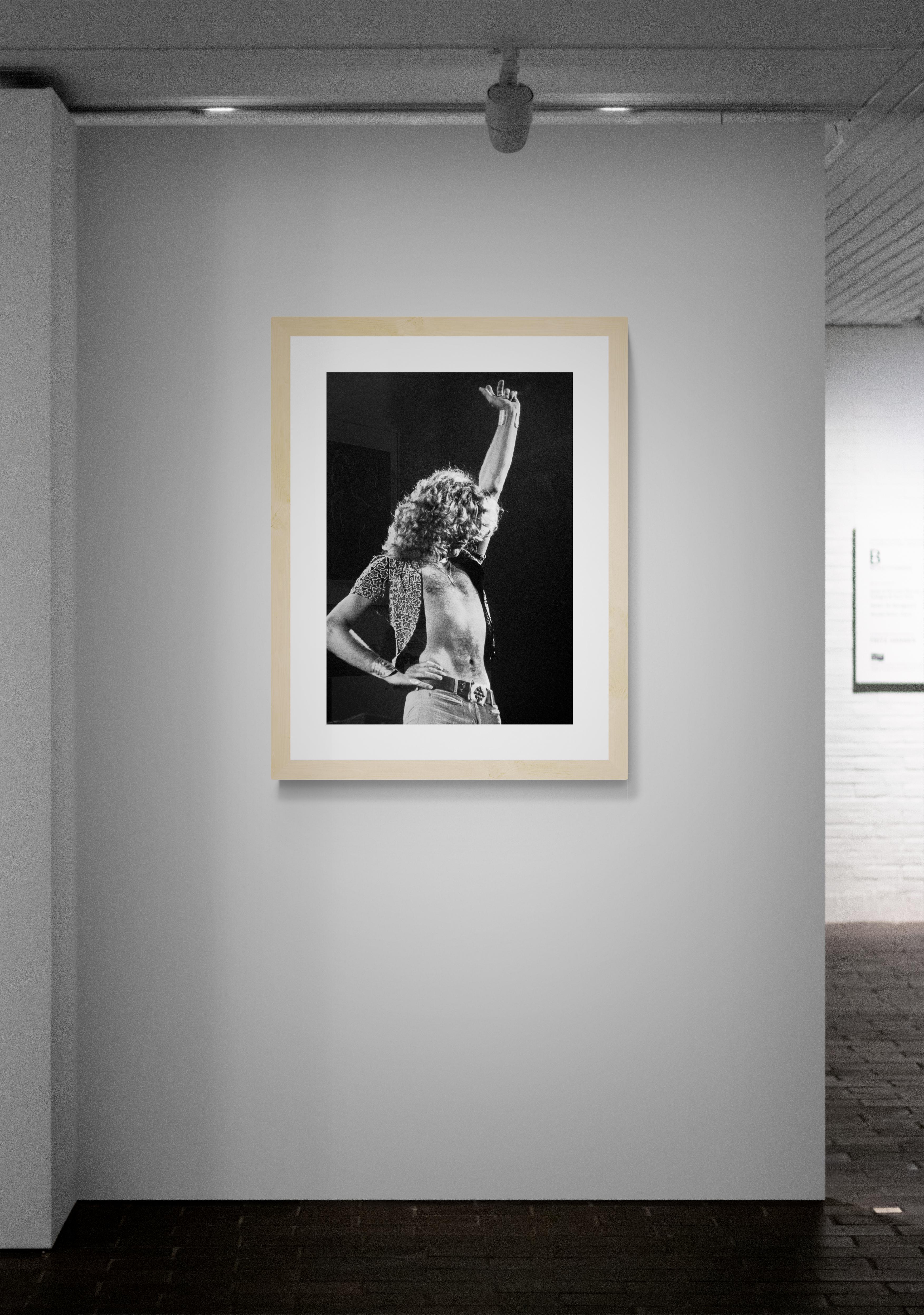 Robert Plant, Led Zeppelin, Classic Rock Photography Print by Jeffrey Mayer For Sale 2