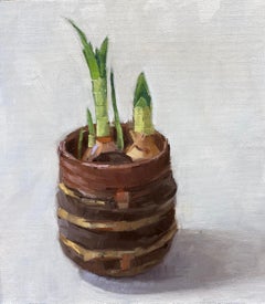 Paper Whites