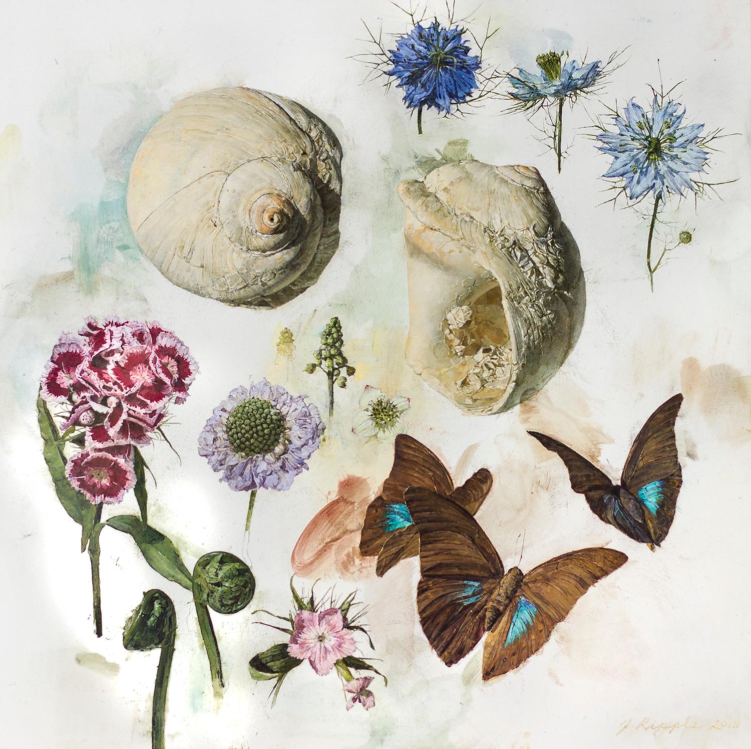 Jeffrey Ripple Still-Life Painting - Shells, Butterflies, and Flowers 