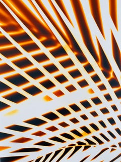 Flora Fauna Series Vintage Color Photograph Abstract Flower Fuji Crystal Photo