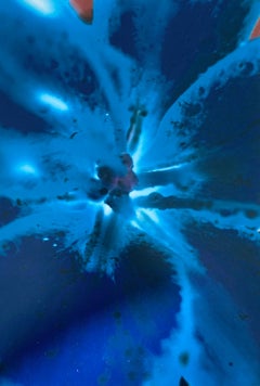 Flora Fauna Series Vintage Color Photograph Abstract Flower Fuji Crystal Photo