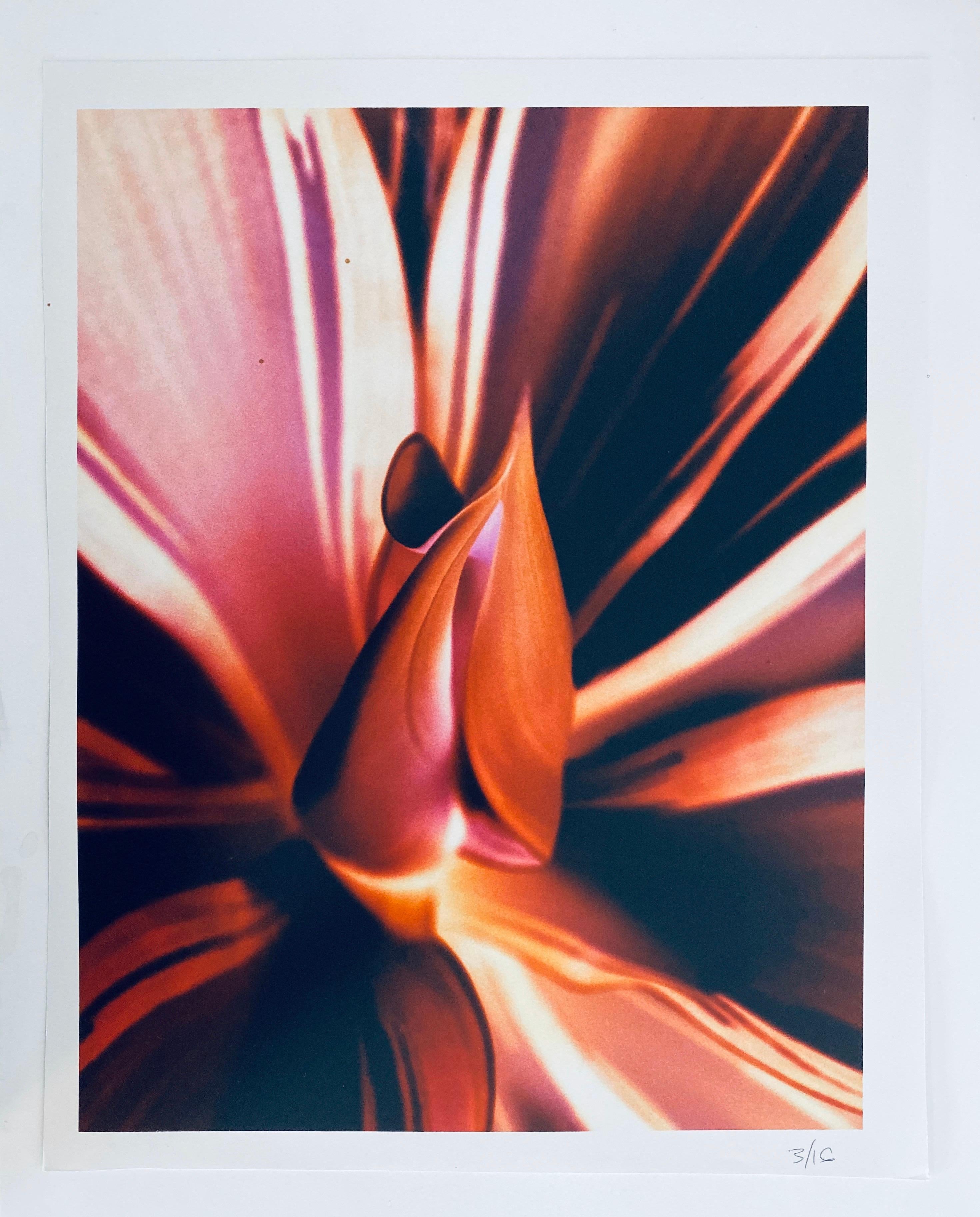 Flora Fauna Serie Vintage Colore Fotografia Astratta Fiore Fuji Cristallo Foto - Abstract Photograph Beige di Jeffrey Rothstein