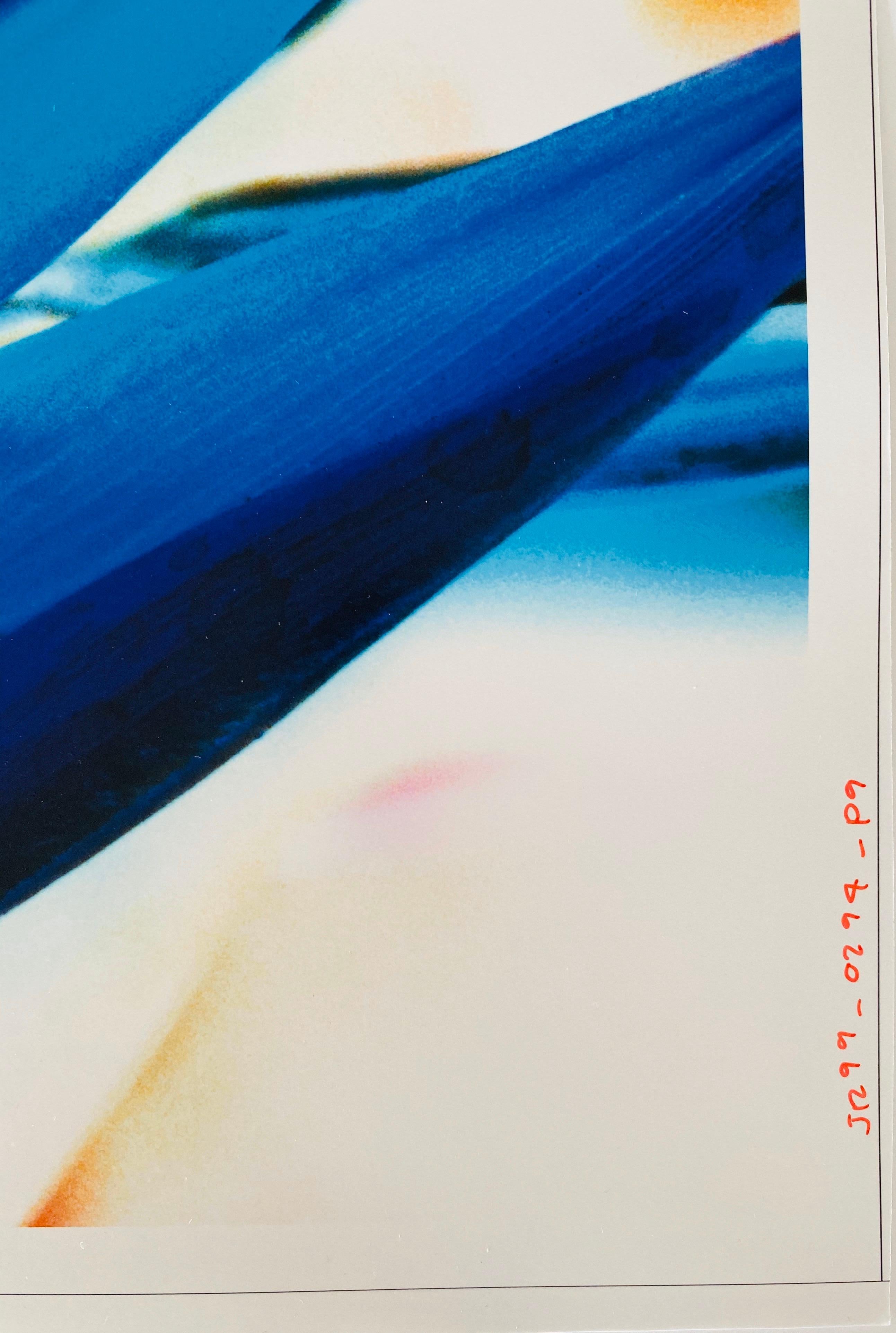 Série Flora Fauna, photographie couleur abstraite fleur Fuji Crystal Photo - Beige Color Photograph par Jeffrey Rothstein
