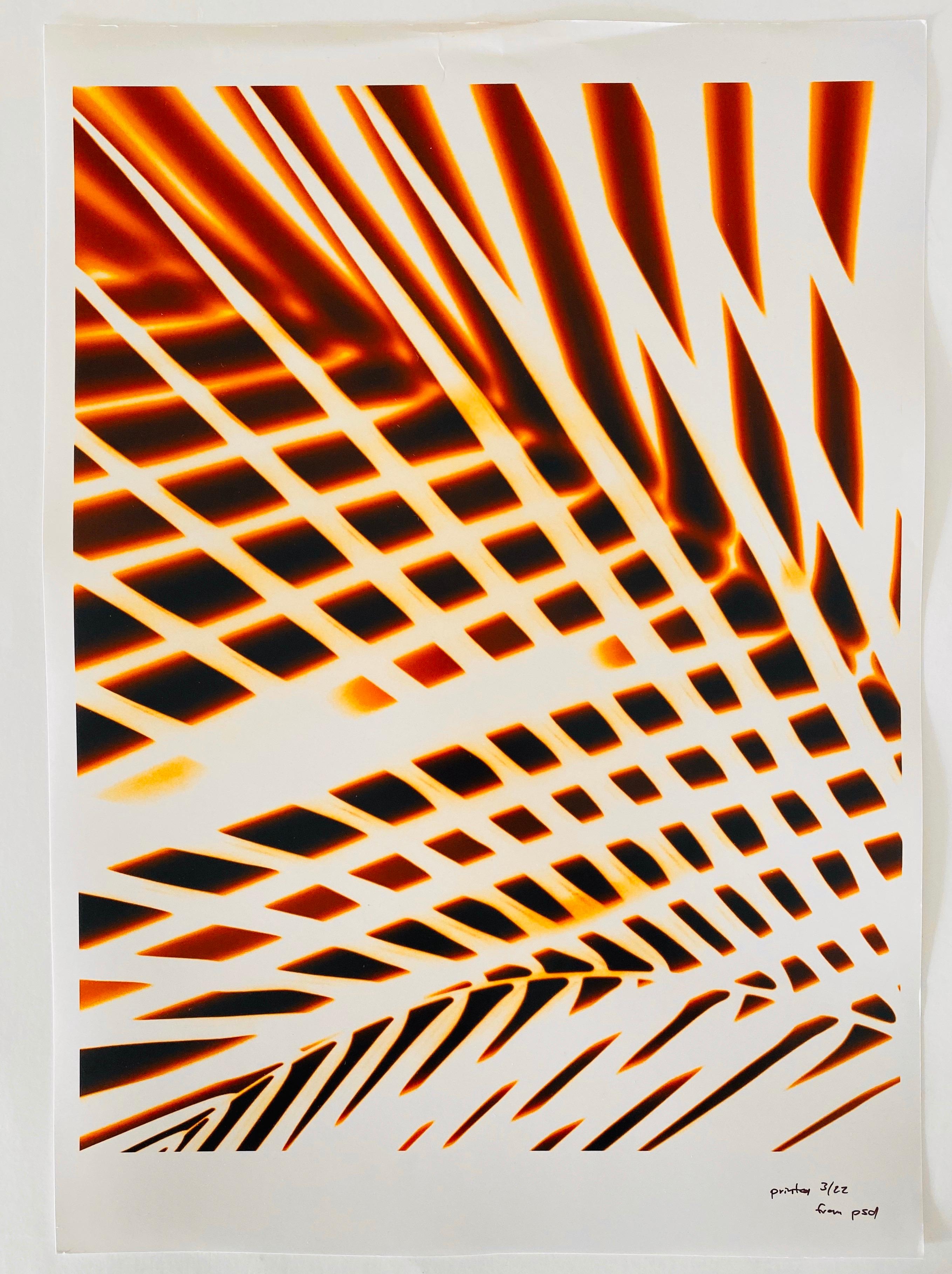 Série Flora Fauna, photographie couleur abstraite fleur Fuji Crystal Photo - Beige Color Photograph par Jeffrey Rothstein