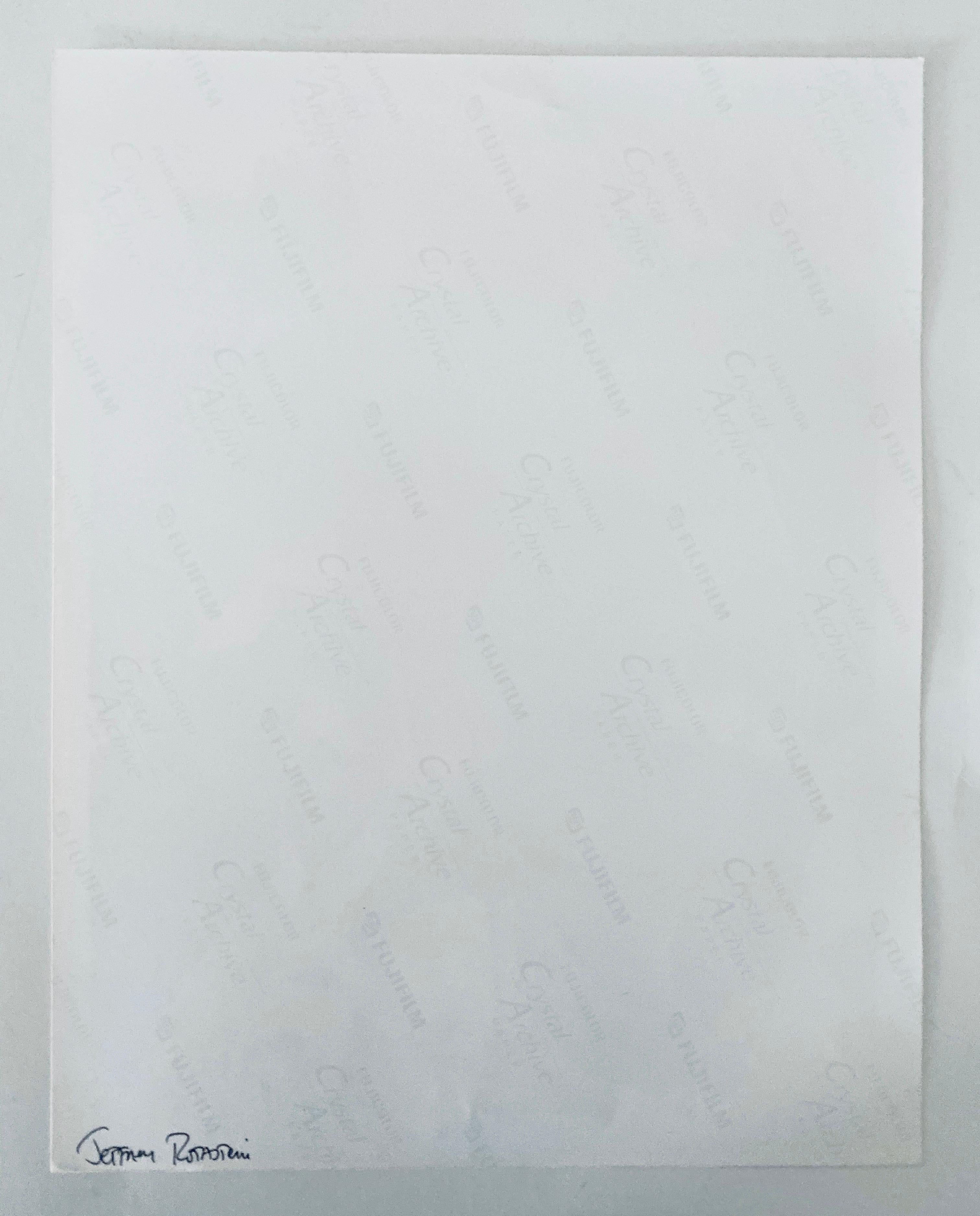 FLORA & FAUNA SERIES, c.1998, papier d'archive cristal Fuji. Signé à la main au verso.

Le photographe Jeffrey Rothstein se concentre sur différents éléments de la Nature pour ses sujets, allant des fleurs et des plantes aux sables du désert en