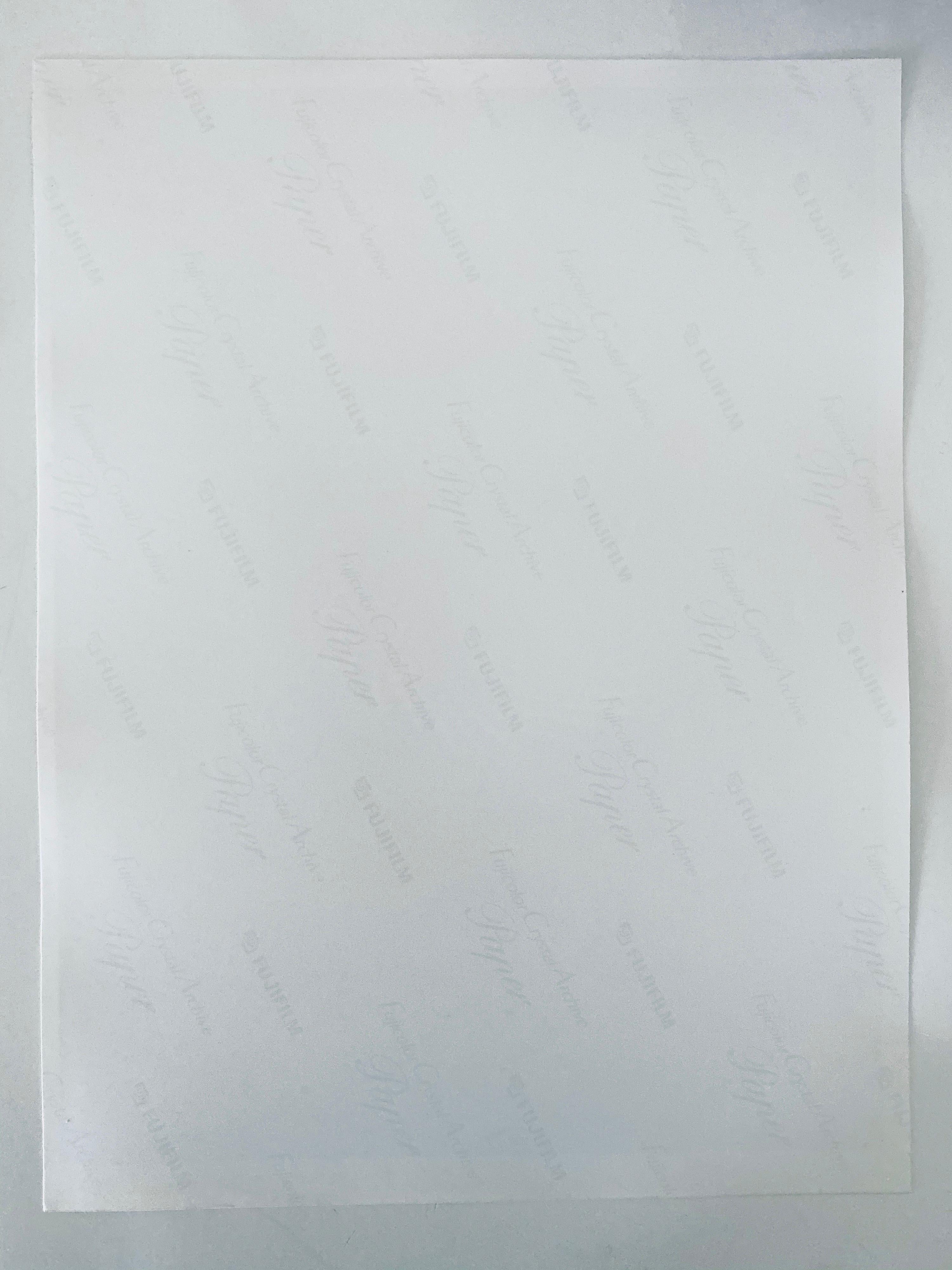SERIE FLORA & FAUNA, 1998 circa, carta d'archivio in cristallo Fuji. Non firmato,

Il fotografo Jeffrey Rothstein si concentra su diversi elementi della natura per i suoi soggetti, che vanno dai fiori e dalle piante alle sabbie del deserto, fino
