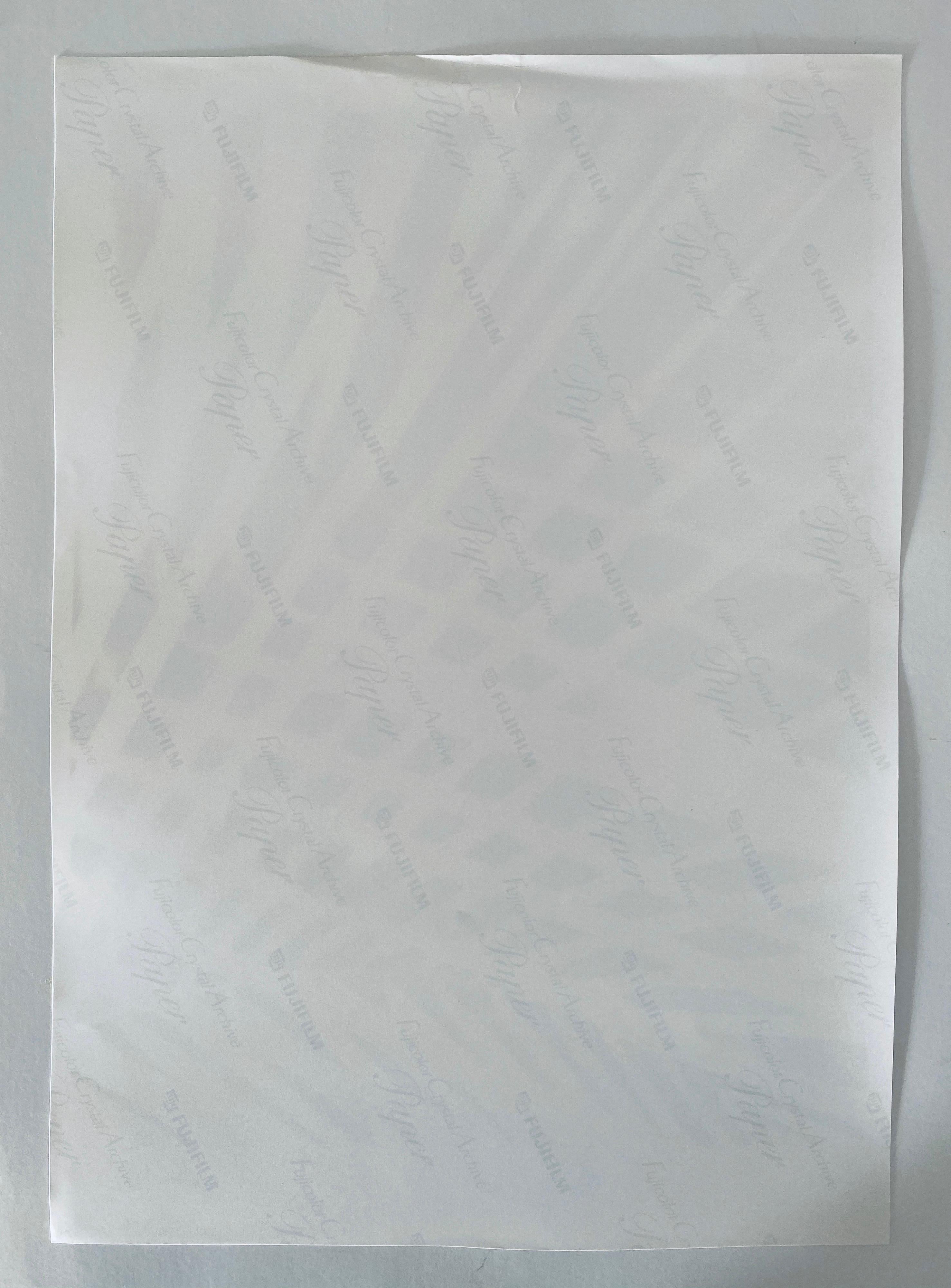FLORA & FAUNA SERIES, c.1998, papier d'archive cristal Fuji. Non signée.

Le photographe Jeffrey Rothstein se concentre sur différents éléments de la Nature pour ses sujets, allant des fleurs et des plantes aux sables du désert en passant par