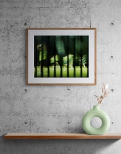 At Play in the Fields (lacrosse, female athletes, sports, night, motion blur)