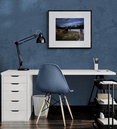 Dog Park Beach (dogs, dog park, outdoor scene, waterfront, twilight, placid)