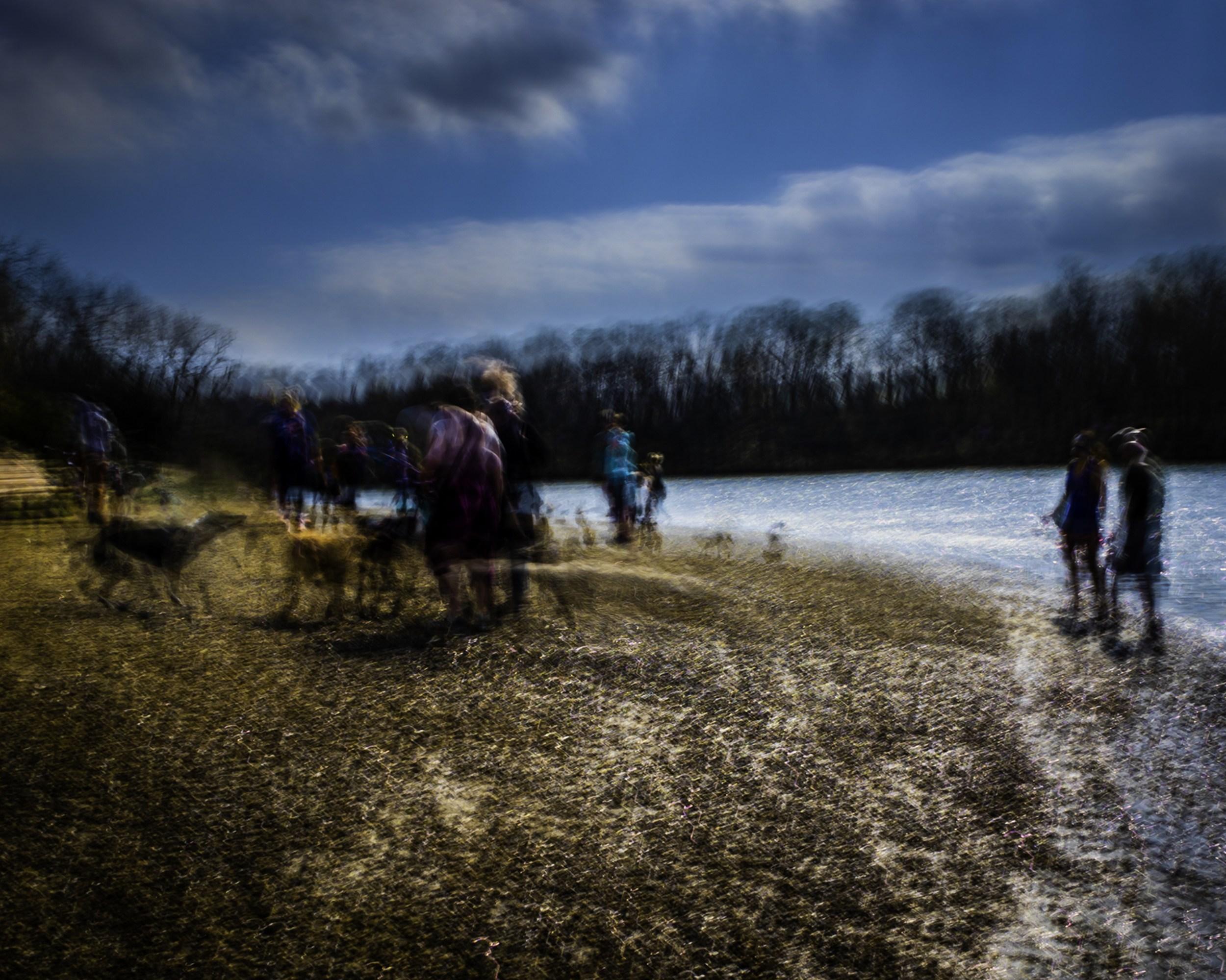 Jeffrey Tamblyn Abstract Photograph - Dog Park Beach (dogs, dog park, outdoor scene, waterfront, twilight, placid)