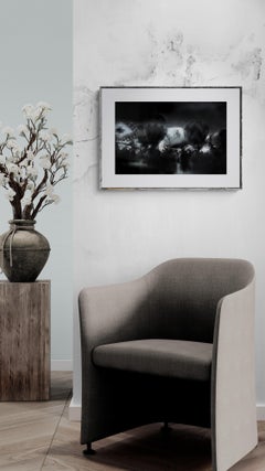 Promenade BNW (blanco y negro, globo aerostático, paisaje surrealista, desenfoque de movimiento)