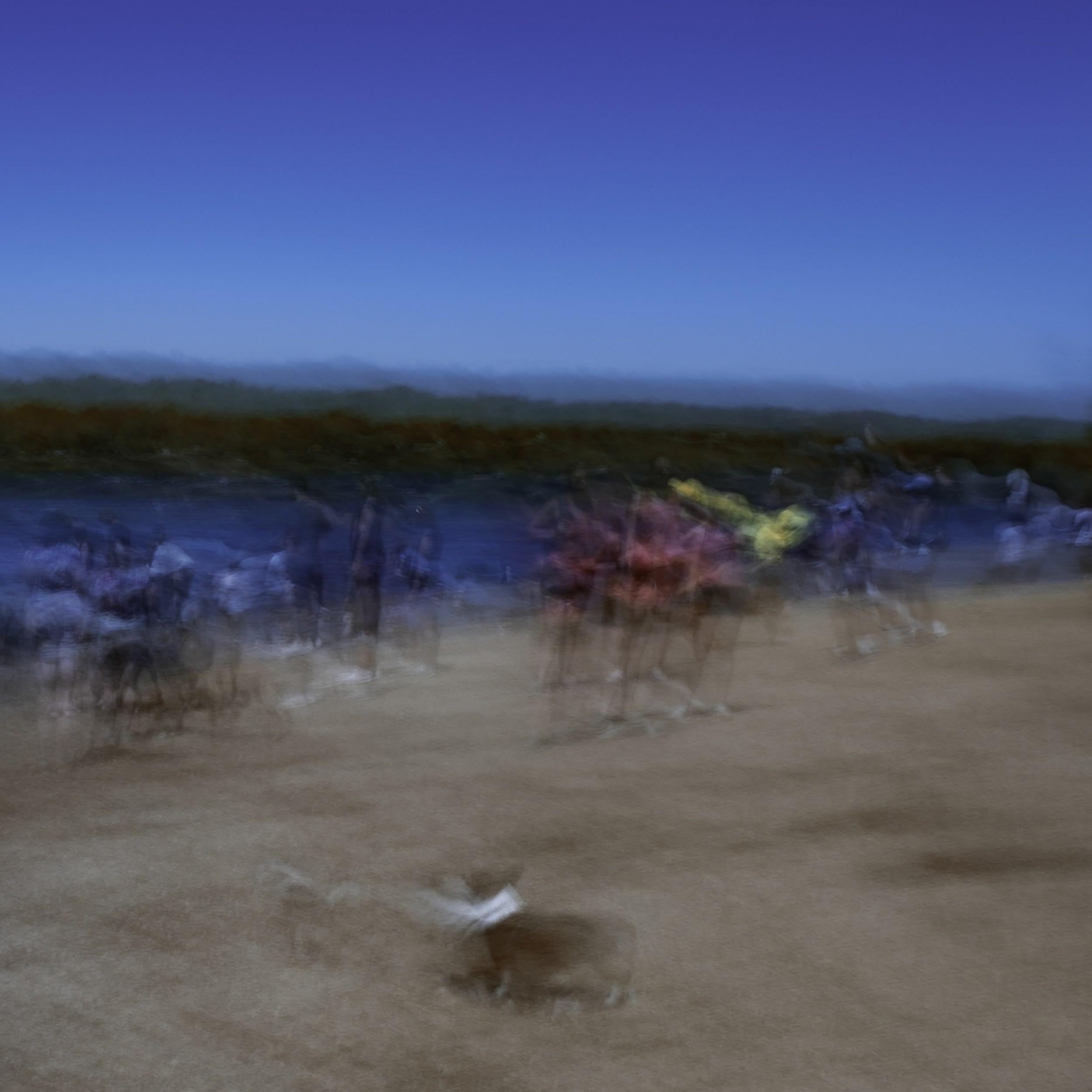Jeffrey Tamblyn Abstract Photograph - Windy (dogs, dog park, outdoor scene, waterfront, bright colors, motion blur)
