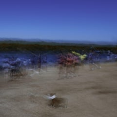 Windy (dogs, dog park, outdoor scene, waterfront, bright colors, motion blur)