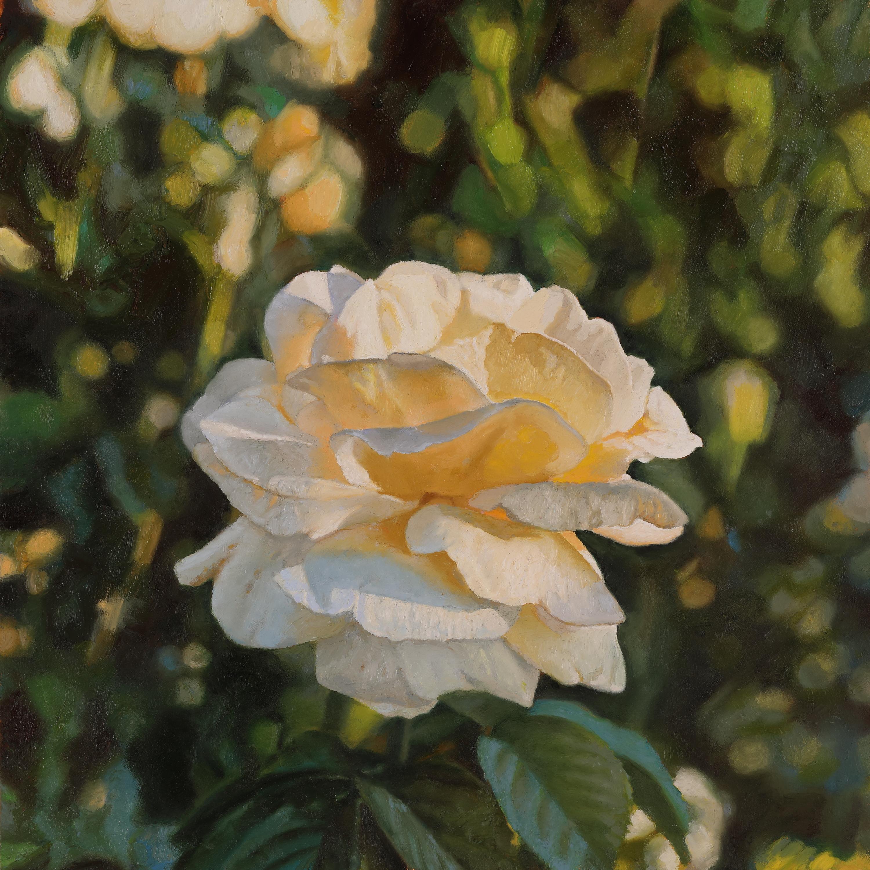 Jeffrey Vaughn Landscape Painting - A Backlit Rose