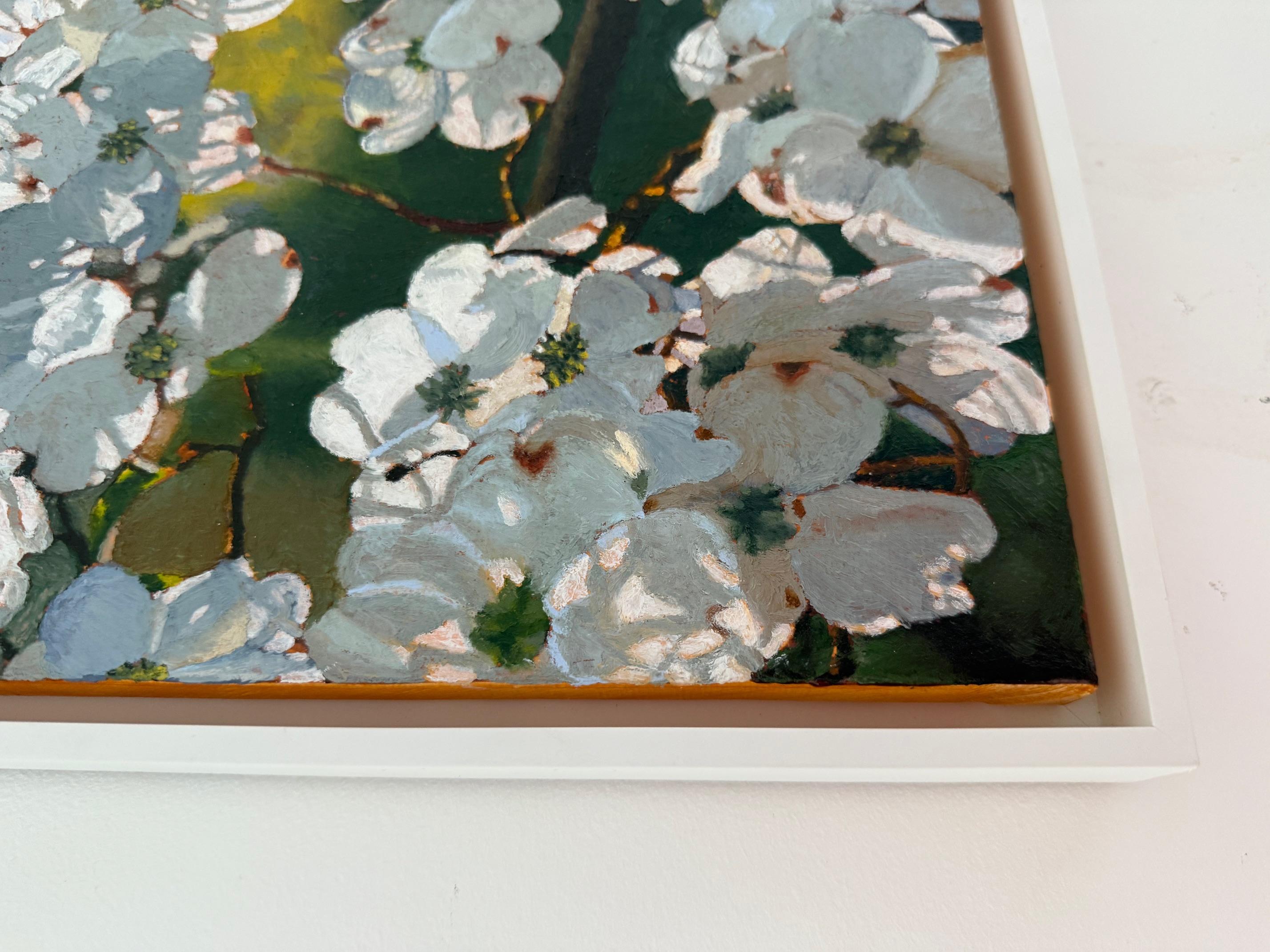 Dogwood retroilluminato - Painting di Jeffrey Vaughn