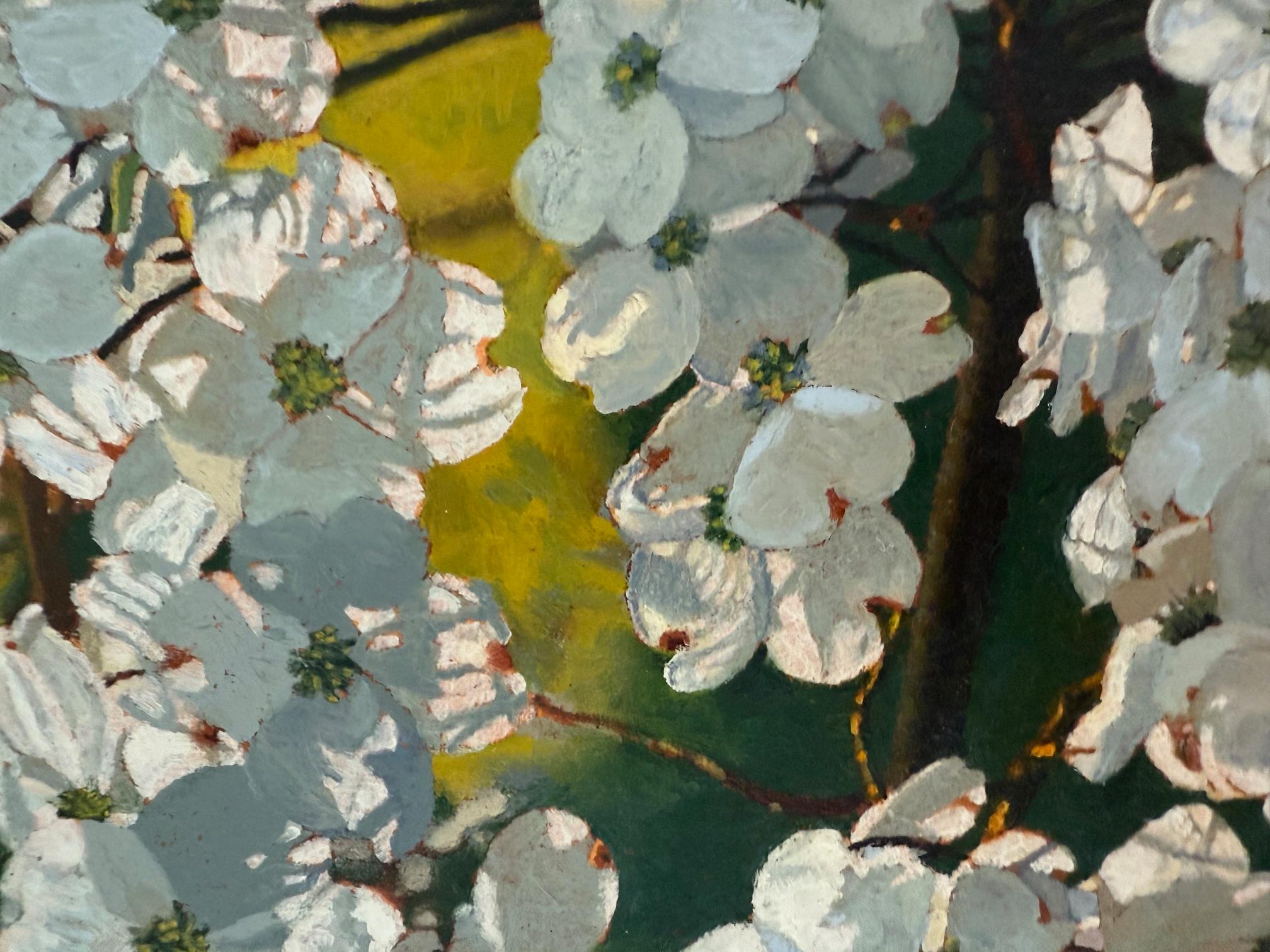 Dogwood retroilluminato - Painting Realismo di Jeffrey Vaughn