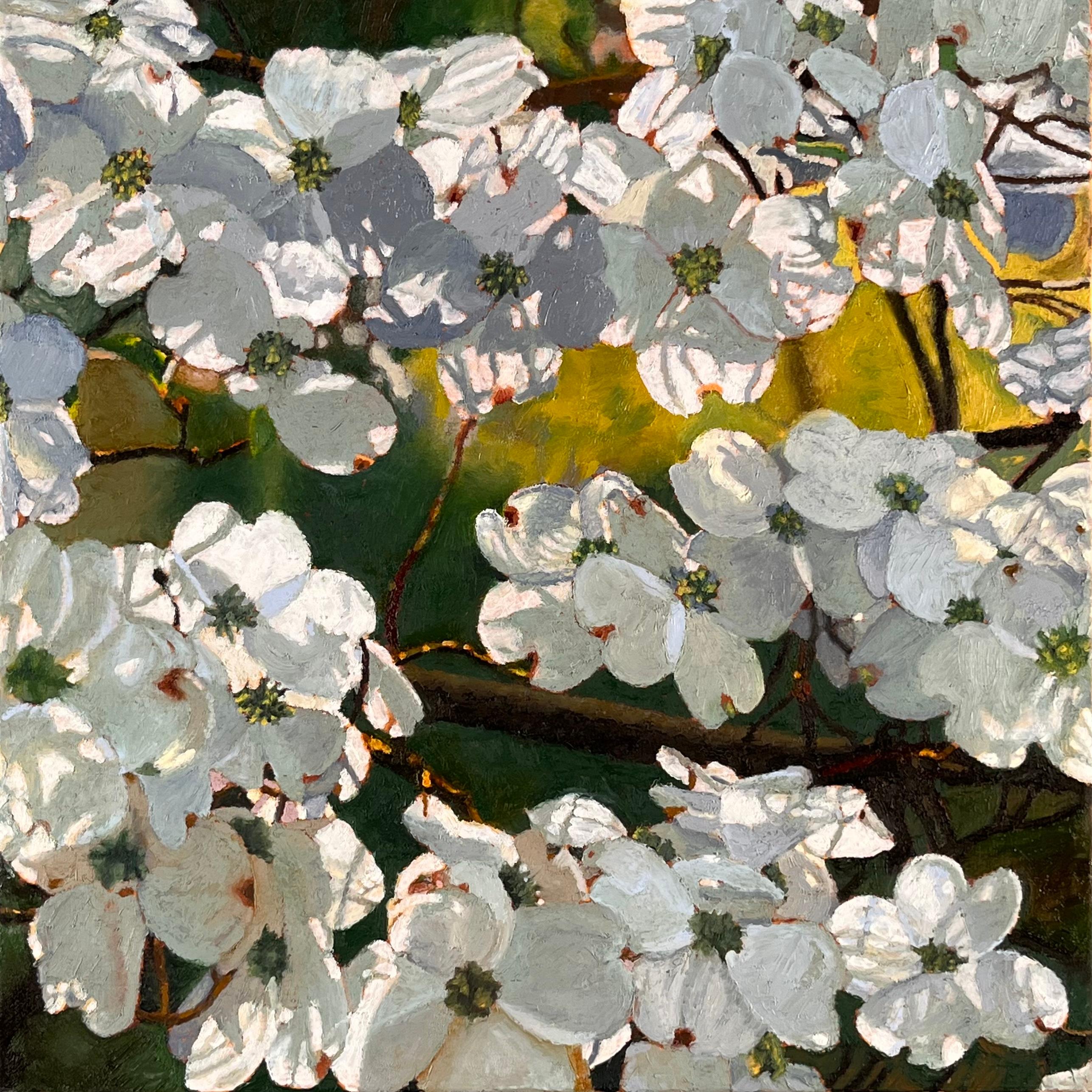 Jeffrey Vaughn Landscape Painting - Backlit Dogwood