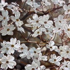 Fiori di corniolo