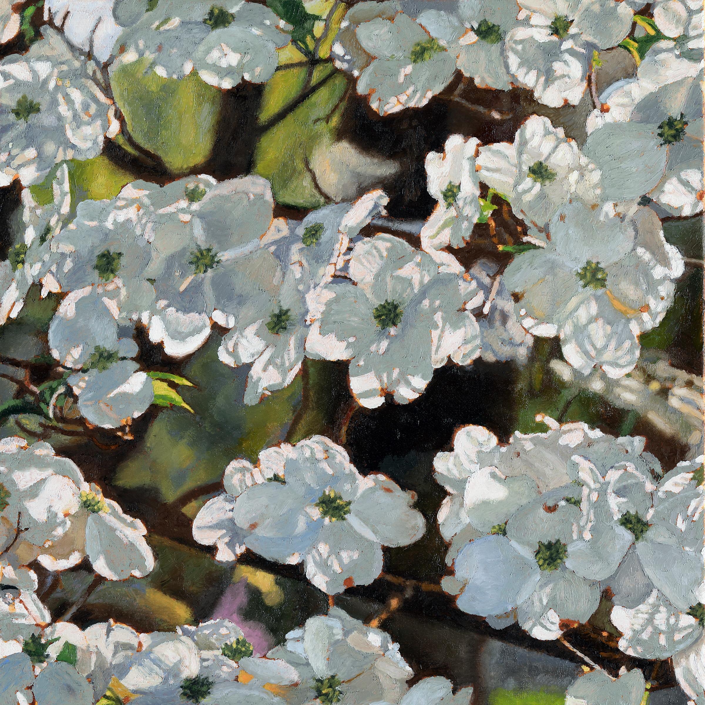 Jeffrey Vaughn Landscape Painting - Dogwood Light