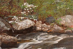 "Hawn", Contemporary, Photorealistic, Oil Painting, Framed, Canvas, Landscape