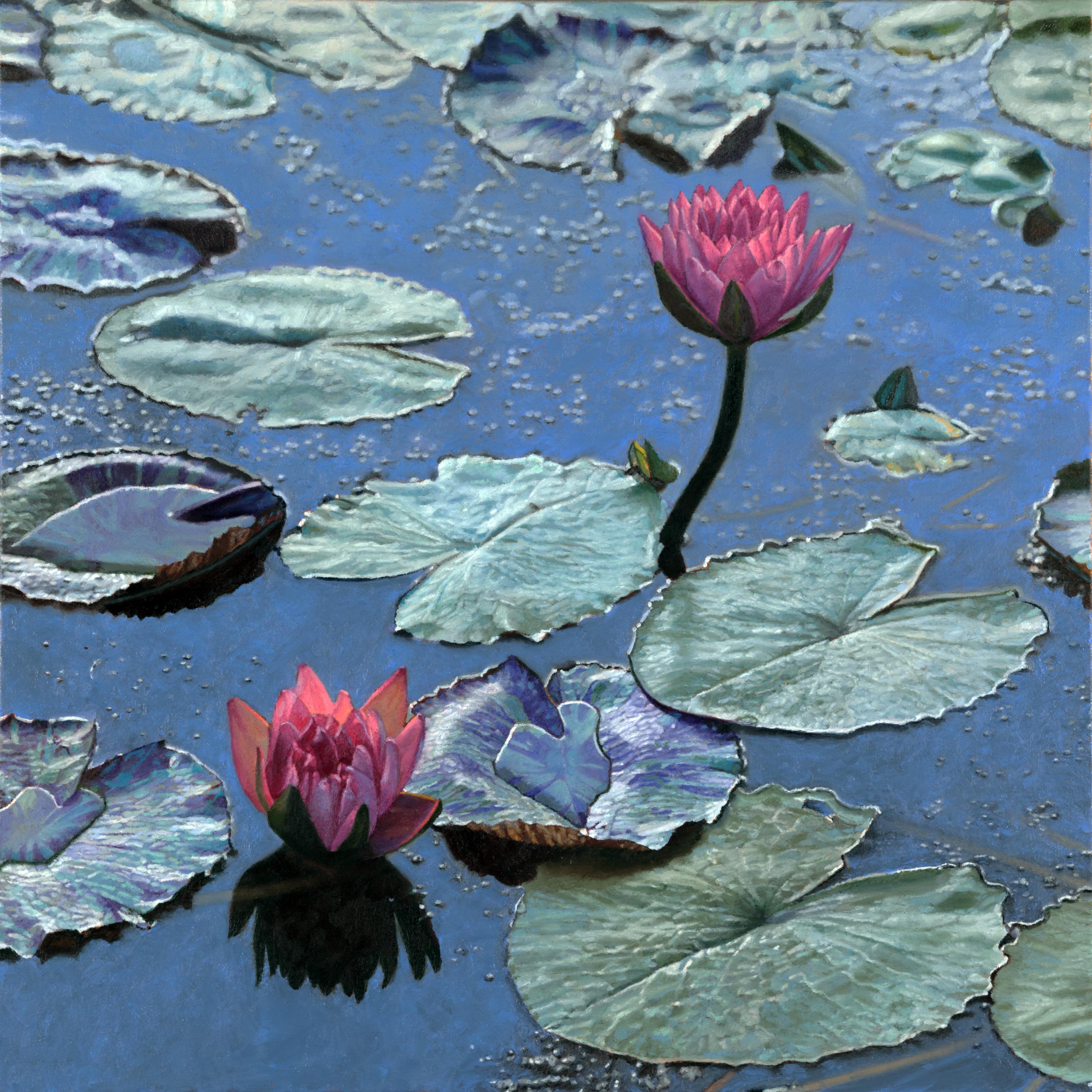 "Lilies dans une lumière douce", Contemporary, Oil, Painting, Canvas, Framed, Waterscape (Paysage aquatique)