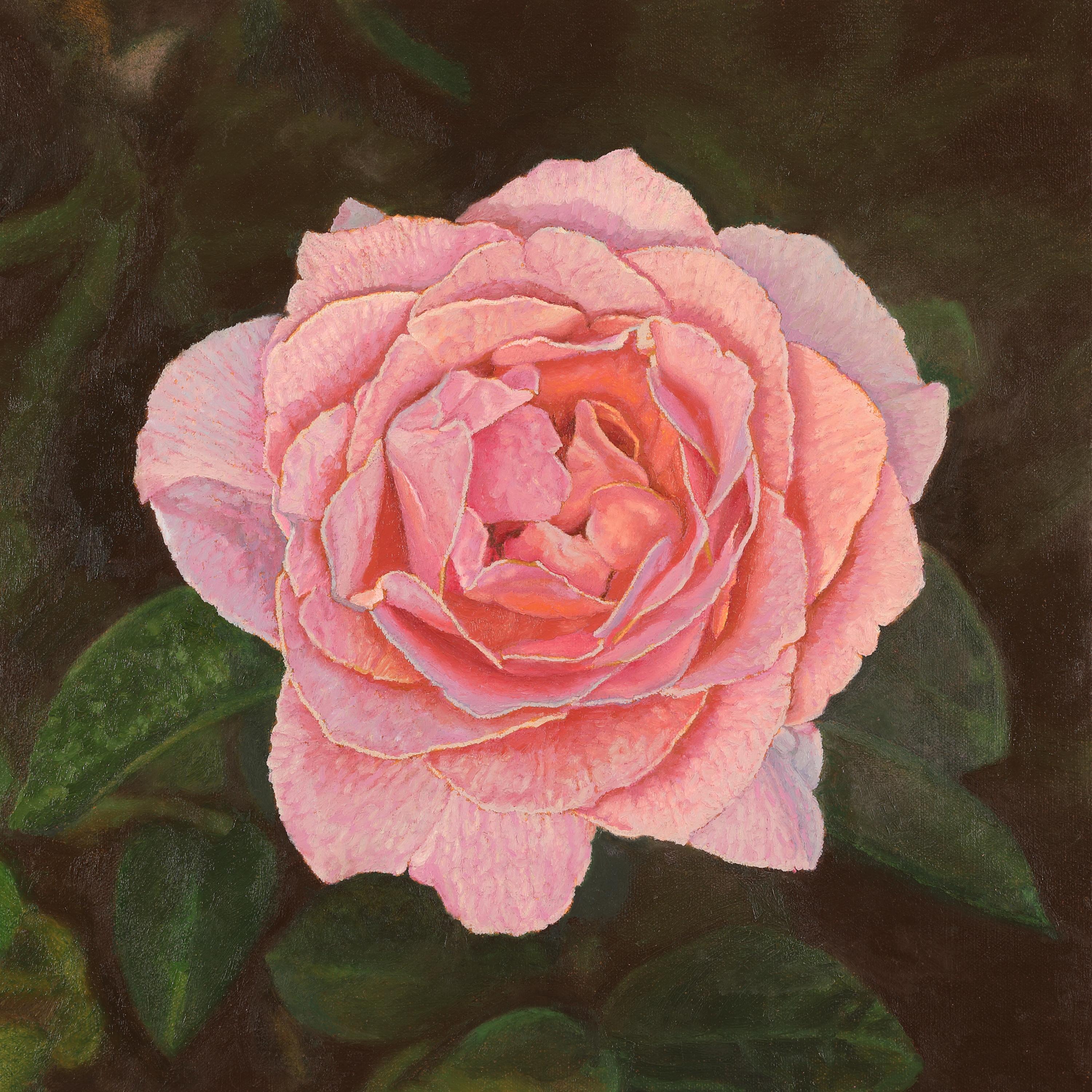 "New Pink Rose", dipinto a olio su tela fotorealistico, incorniciato - Painting di Jeffrey Vaughn